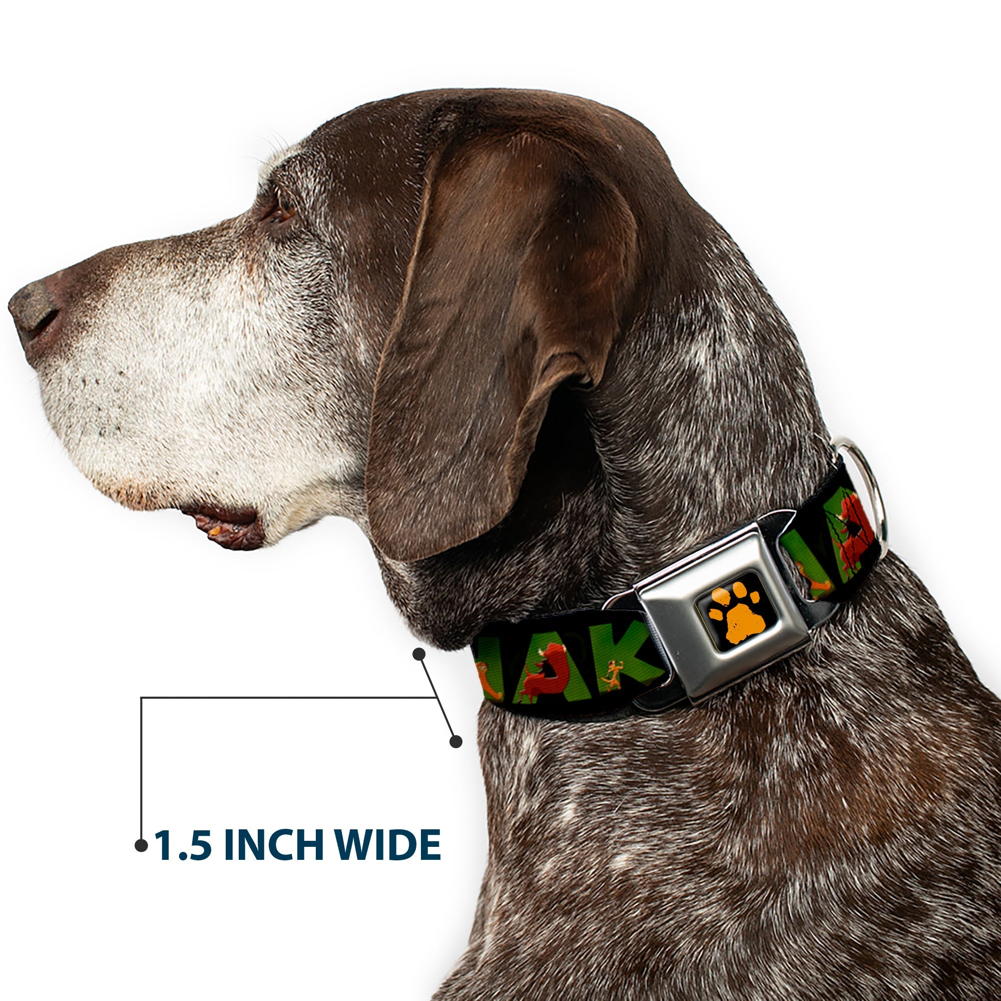 Lion King Paw Full Color Black Gold Seatbelt Buckle Collar - HAKUNA MATATA Black/Lion King Scenes