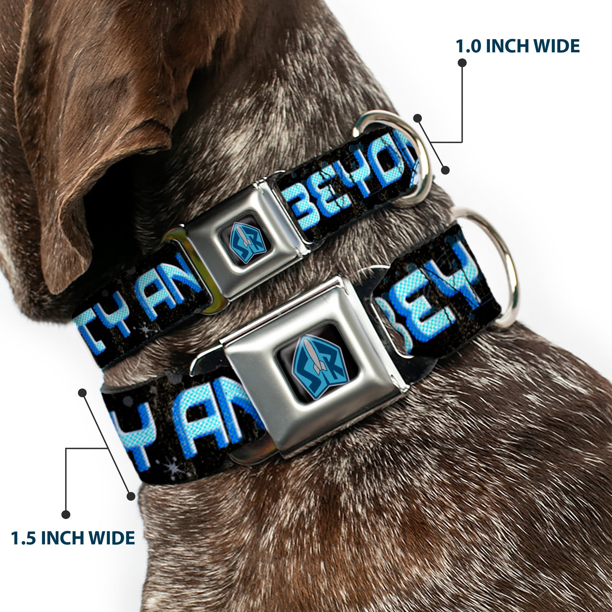 Space Ranger SR Logo Full Color Black/Blue Seatbelt Buckle Collar - Buzz Poses/Stars TO INFINITY AND BEYOND Black/Blues
