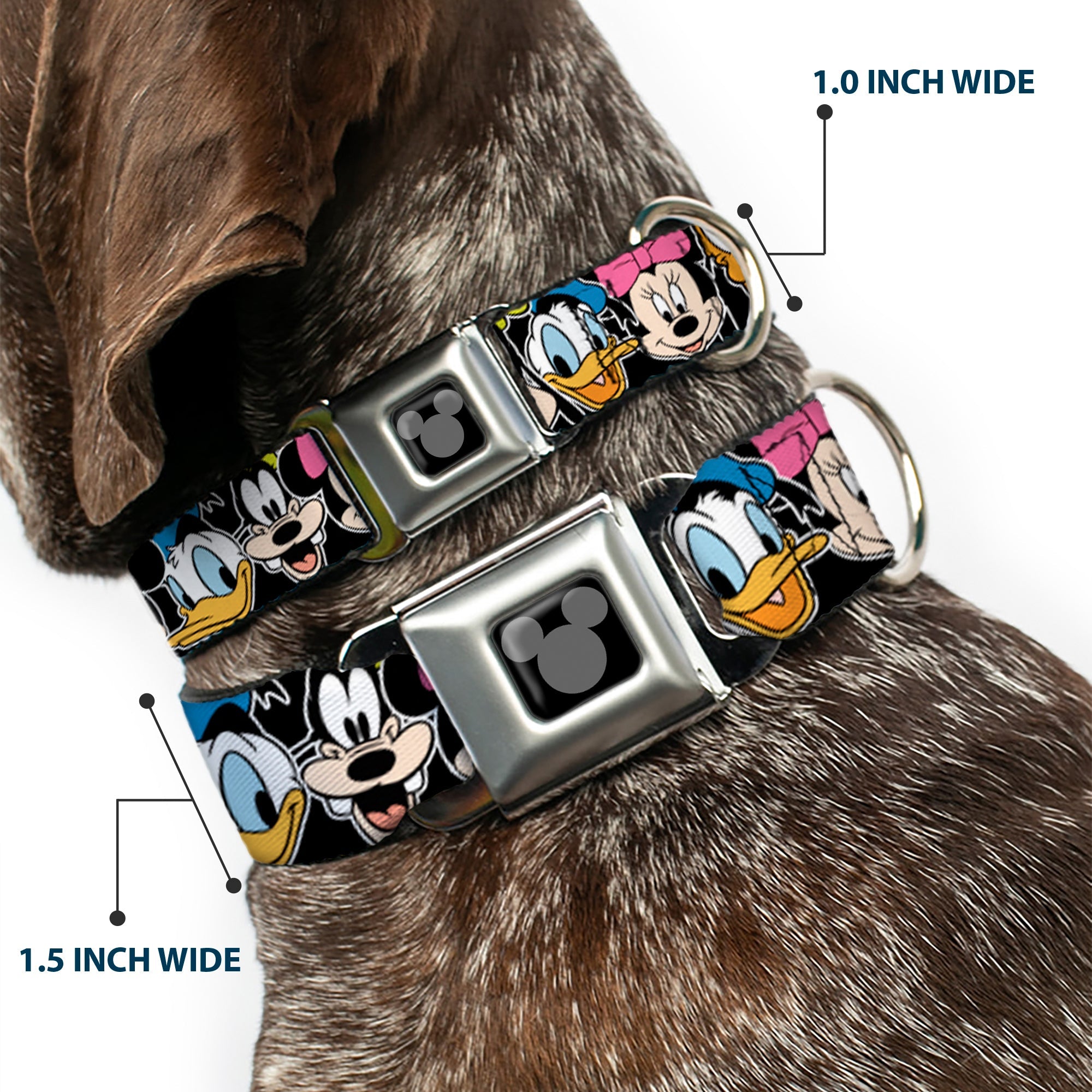 Mickey Silhouette Black Silver Seatbelt Buckle Collar - Classic Disney Character Faces Black