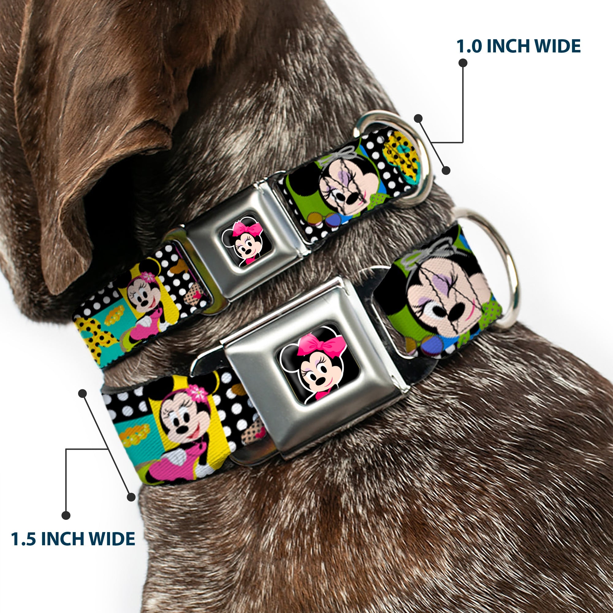 Mini Minnie Mouse Face CLOSE-UP Full Color Black Seatbelt Buckle Collar - Mini Minnie Fashion Poses/Polka Dot Black/White/Multi Color