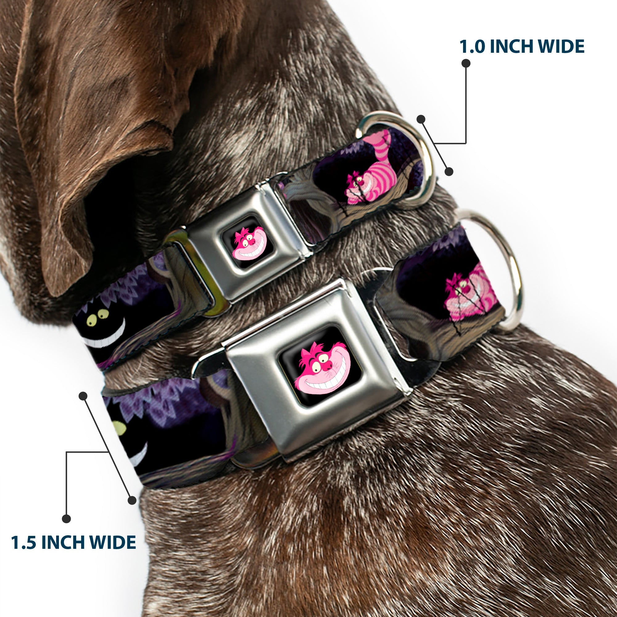 Cheshire Cat Face Full Color Black Seatbelt Buckle Collar - Alice & the Cheshire Cat Scenes