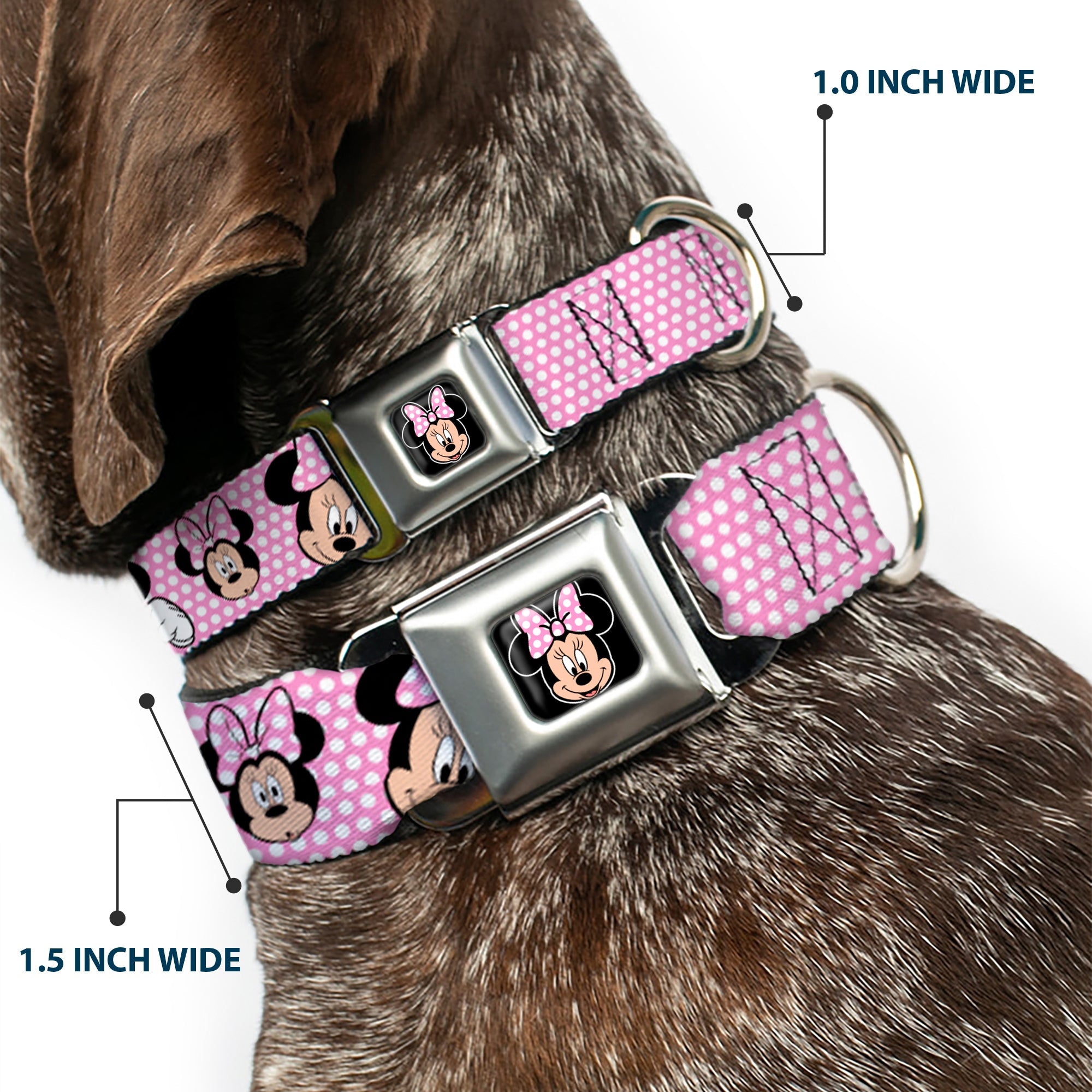Minnie Mouse Full Color Face Pink Polka Dot Black Seatbelt Buckle Collar - Minnie Mouse Expressions Polka Dot Pink/White