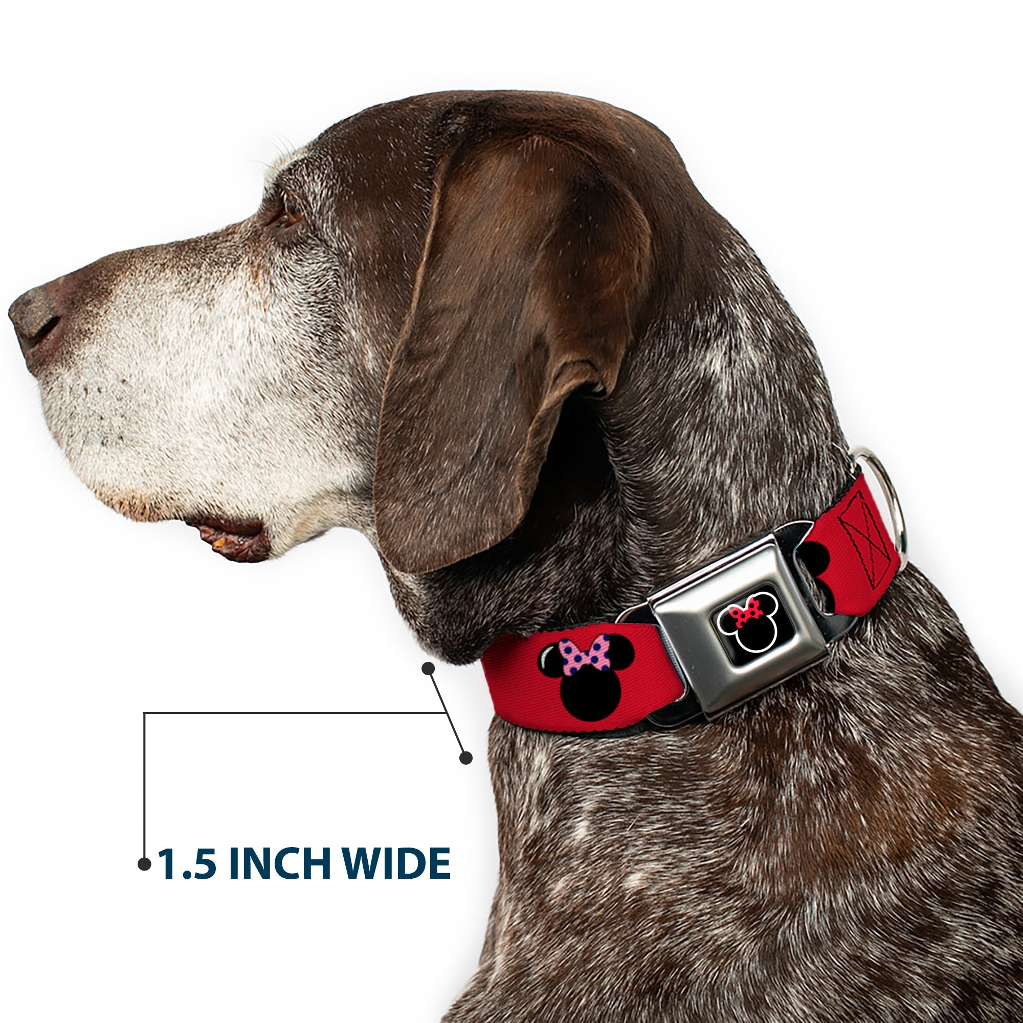 Minnie Mouse Outline Full Color Black White Red Polka Dot Seatbelt Buckle Collar - Minnie Mouse Silhouette Red/Black/Polka Dot