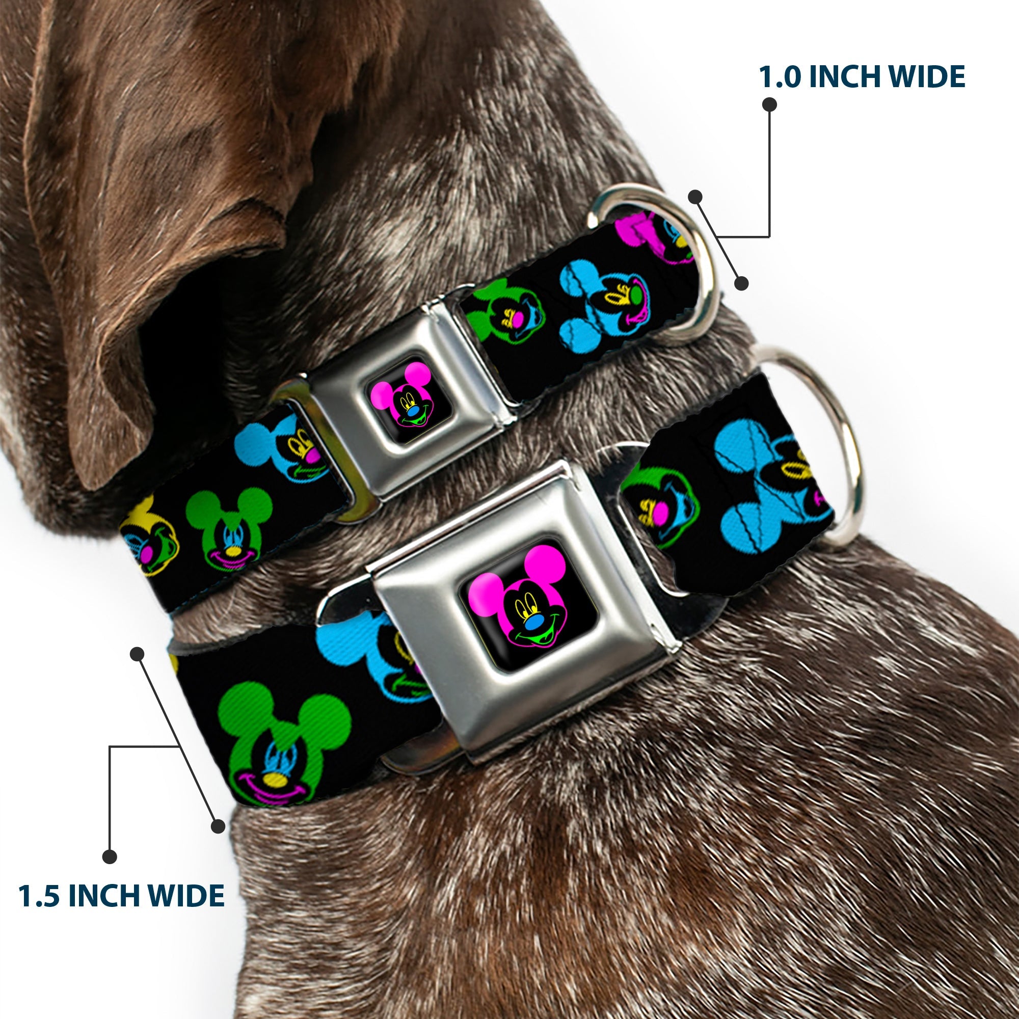 Mickey Mouse Face Full Color Black Multi Neon Seatbelt Buckle Collar - Mickey Mouse Expressions Scattered Black/Multi Neon