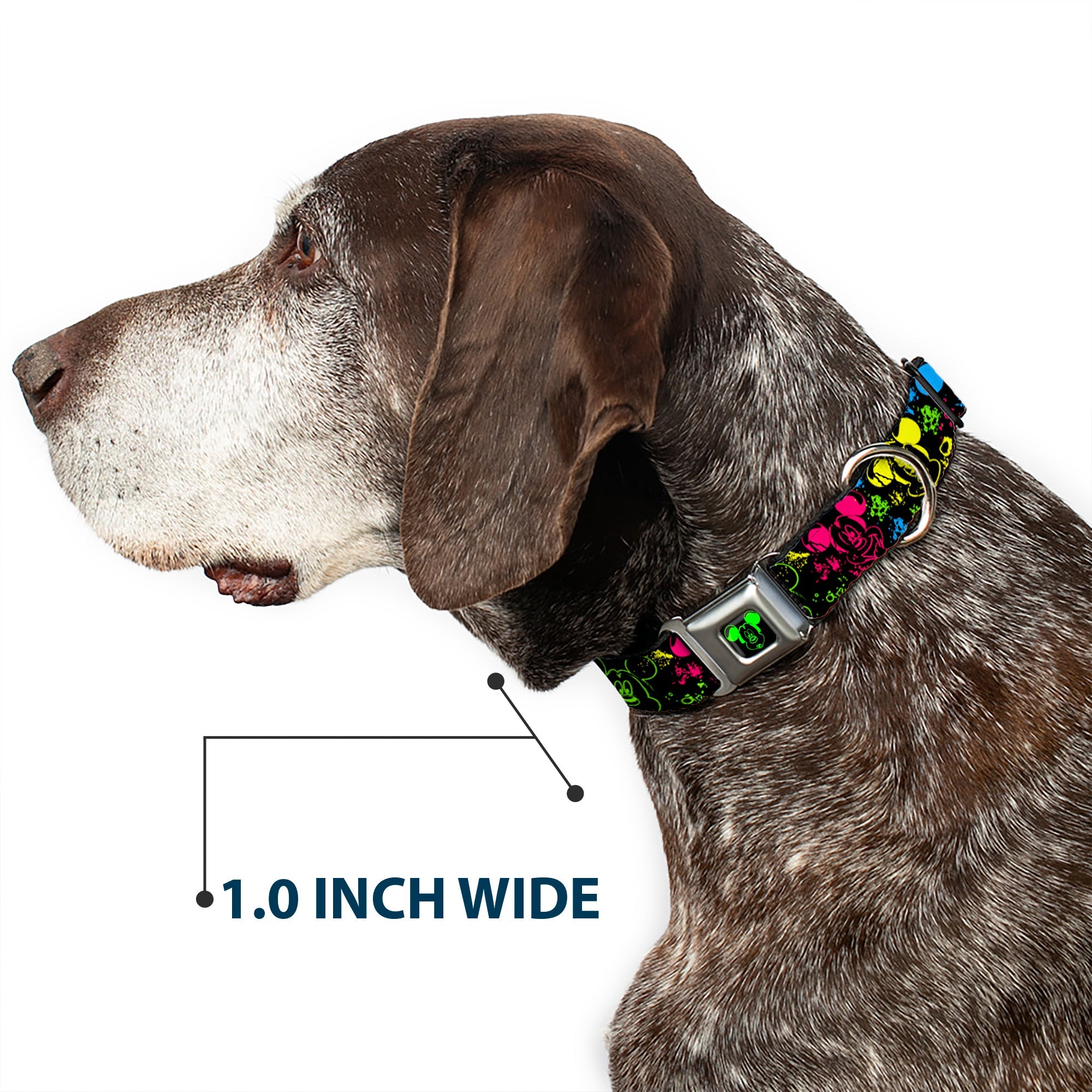Mickey Mouse Expression1 Full Color Black/Neon Green Seatbelt Buckle Collar - Mickey Expressions/Paint Splatter Black/Multi Neon