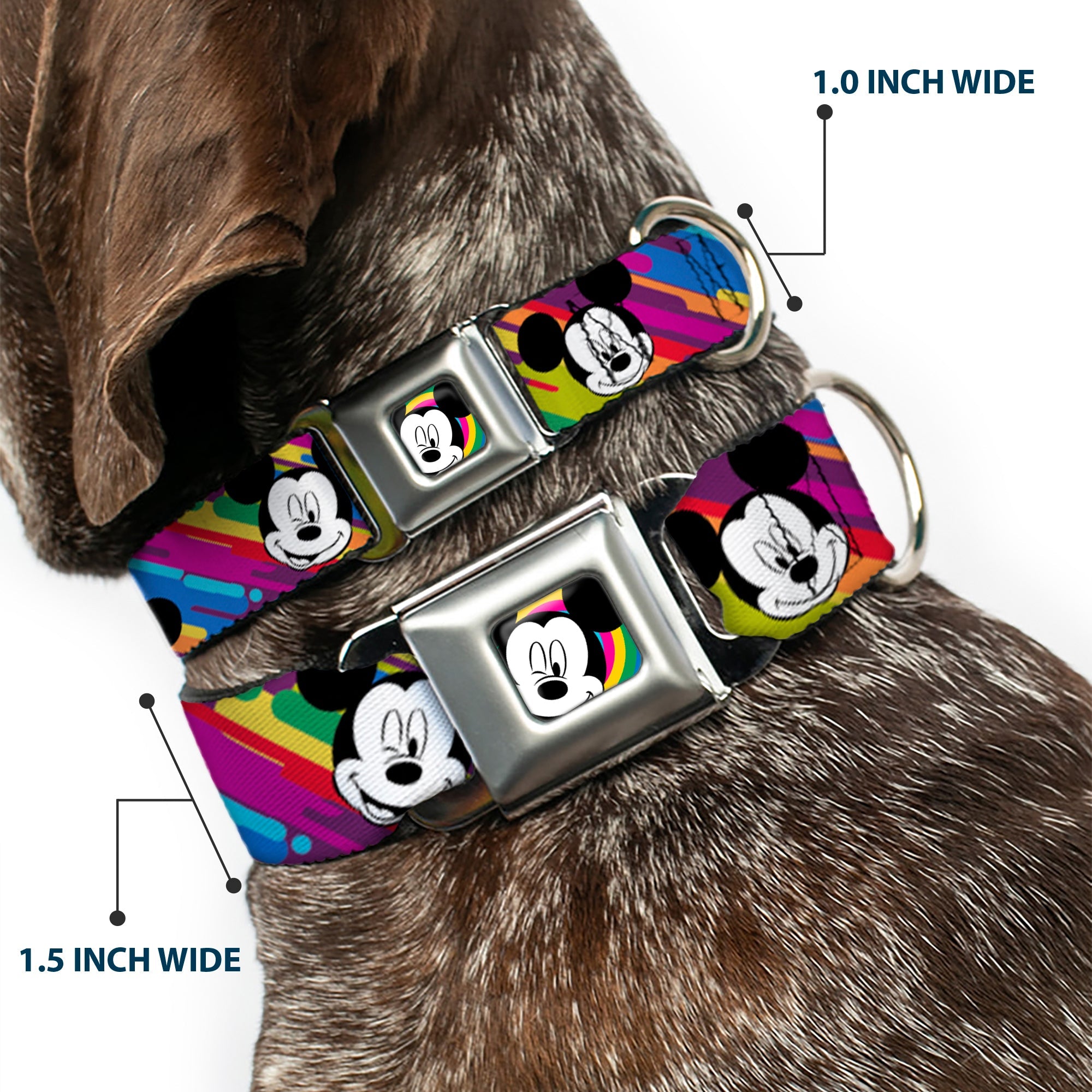 Mickey Mouse Winking CLOSE-UP Full Color Multi Color Black White Seatbelt Buckle Collar - Mickey Mouse Expressions Multi Color White/Black