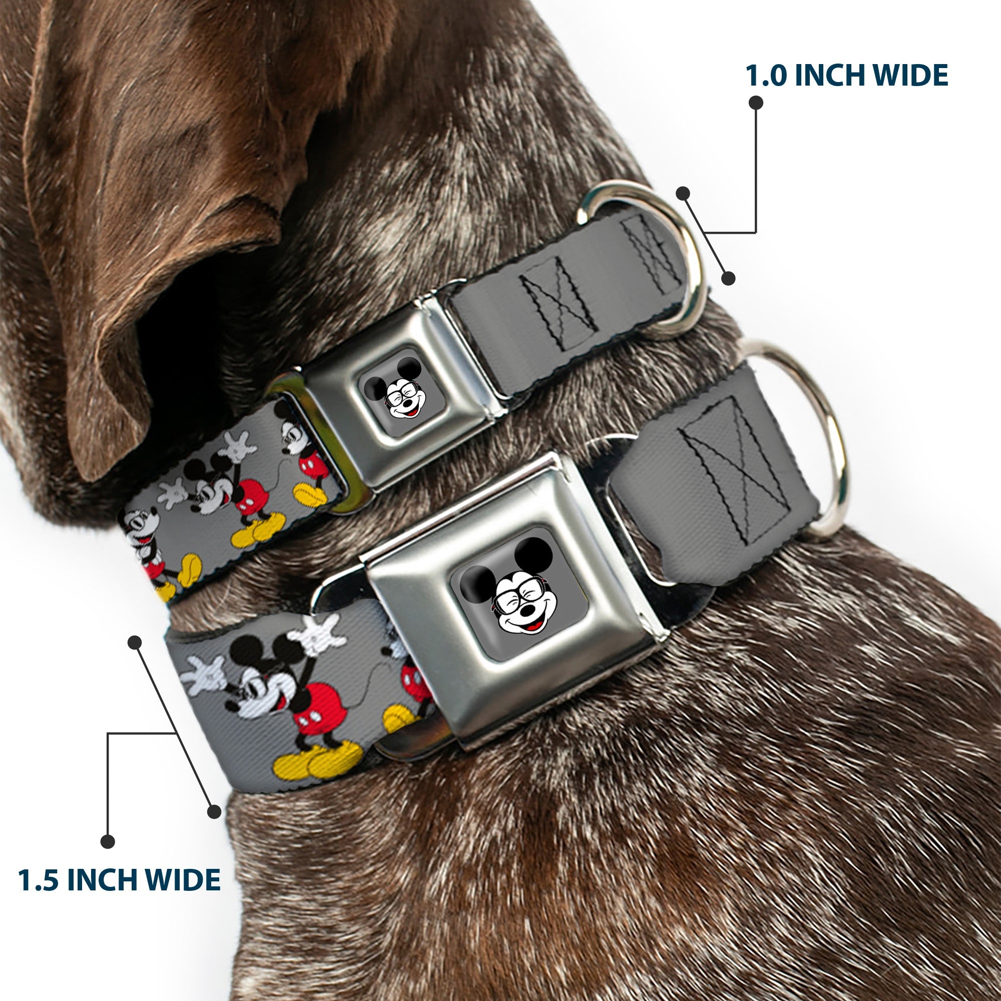 Mickey Mouse w Glasses Full Color Gray Seatbelt Buckle Collar - Mickey Mouse w/Glasses Poses Gray