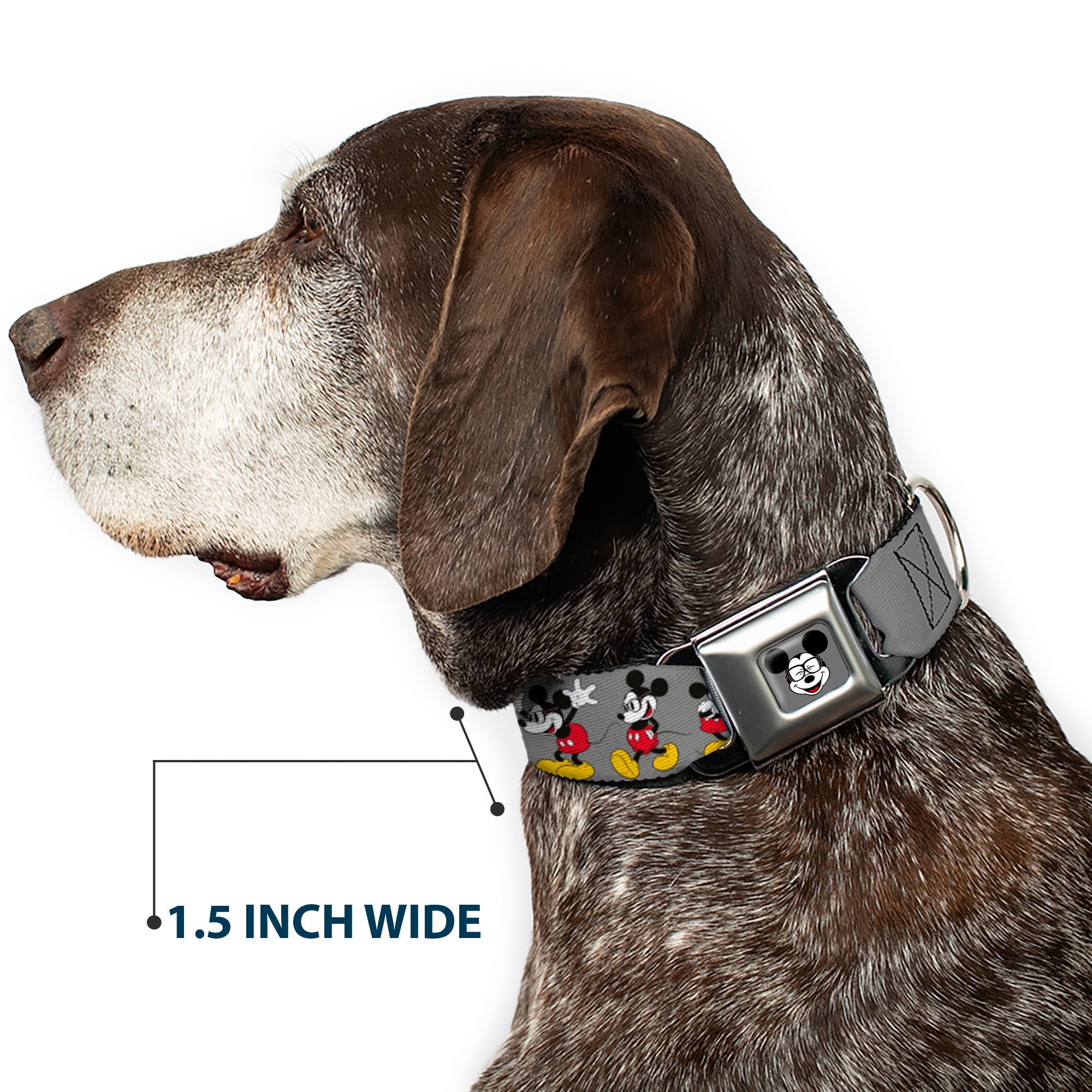 Mickey Mouse w Glasses Full Color Gray Seatbelt Buckle Collar - Mickey Mouse w/Glasses Poses Gray