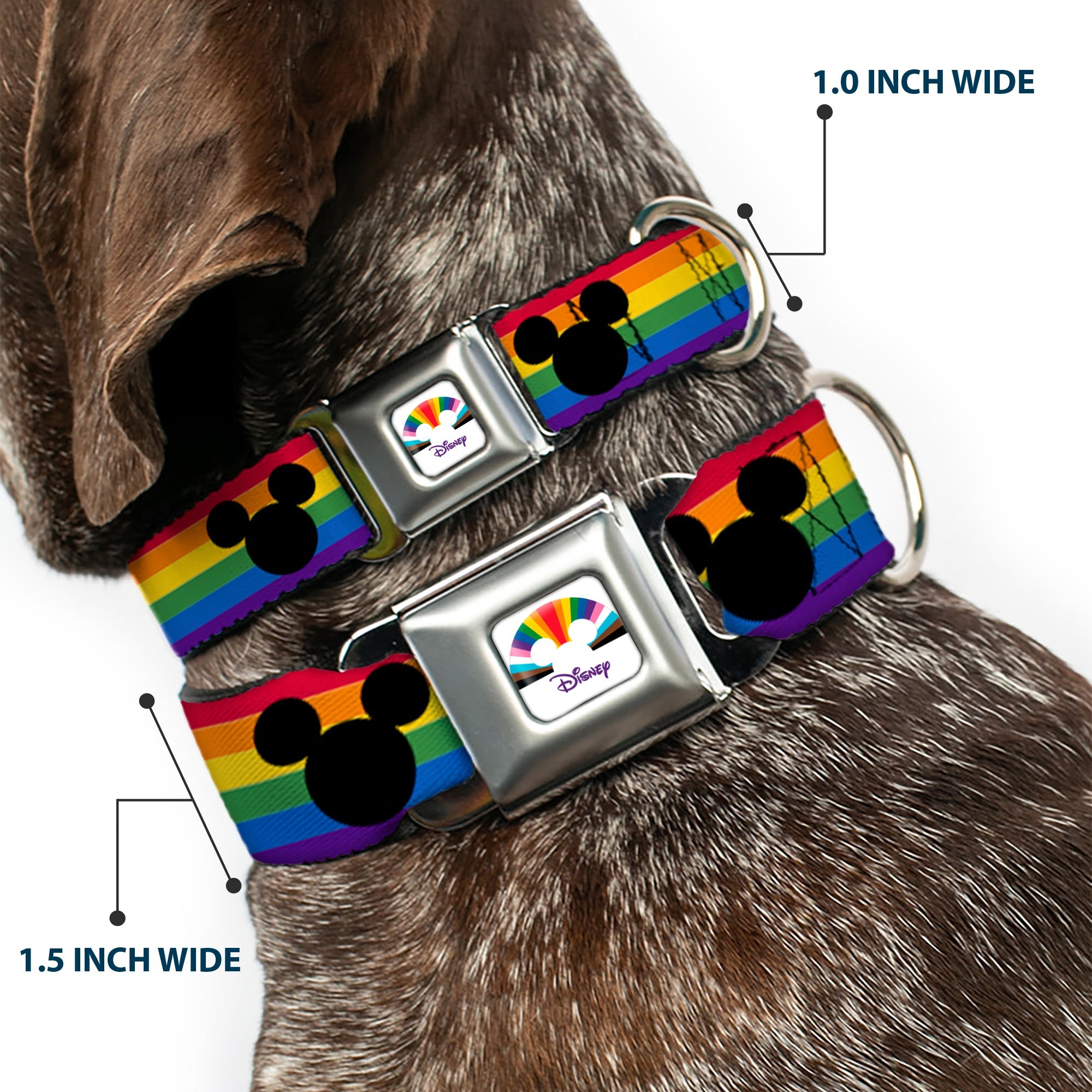 DISNEY Mickey Mouse Pride Ears Icon Full Color White/Multi Color Seatbelt Buckle Collar - Mickey Mouse Ears Icon Rainbow Pride Flag
