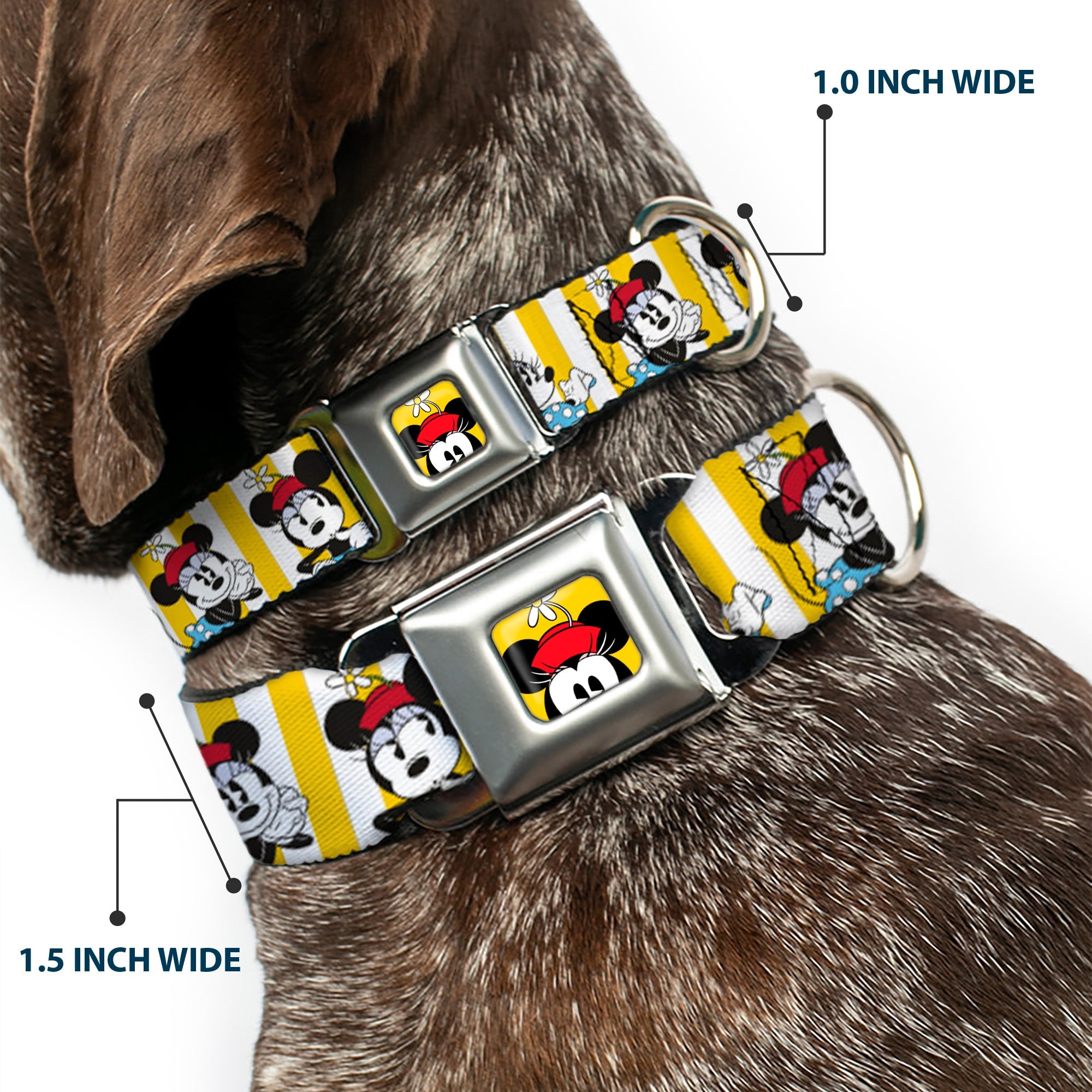 Minnie Mouse w Hat CLOSE-UP Full Color Yellow Seatbelt Buckle Collar - Minnie Mouse w/Hat Poses Stripe Yellow/White
