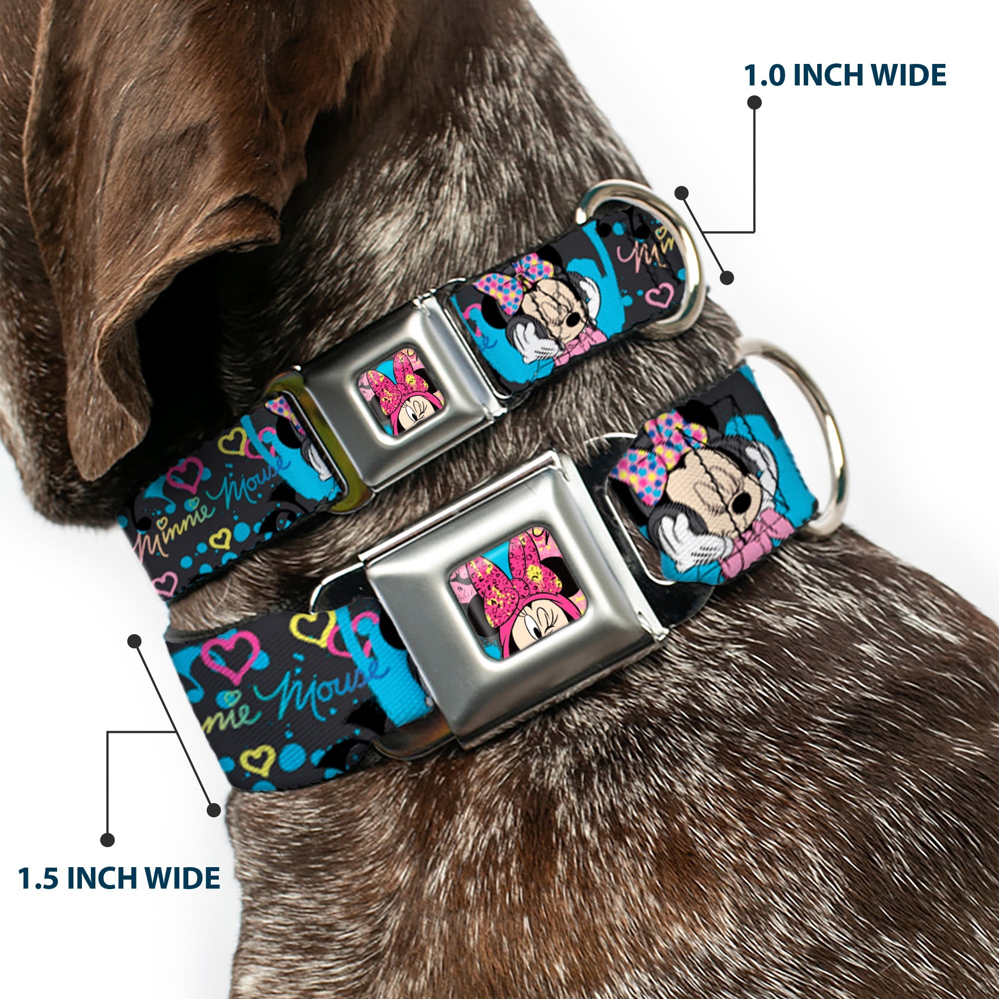 Minnie Mouse Winking CLOSE-UP Full Color Multi Color Seatbelt Buckle Collar - Minnie Mouse Hoody & Headphone Poses Gray/Multi Color