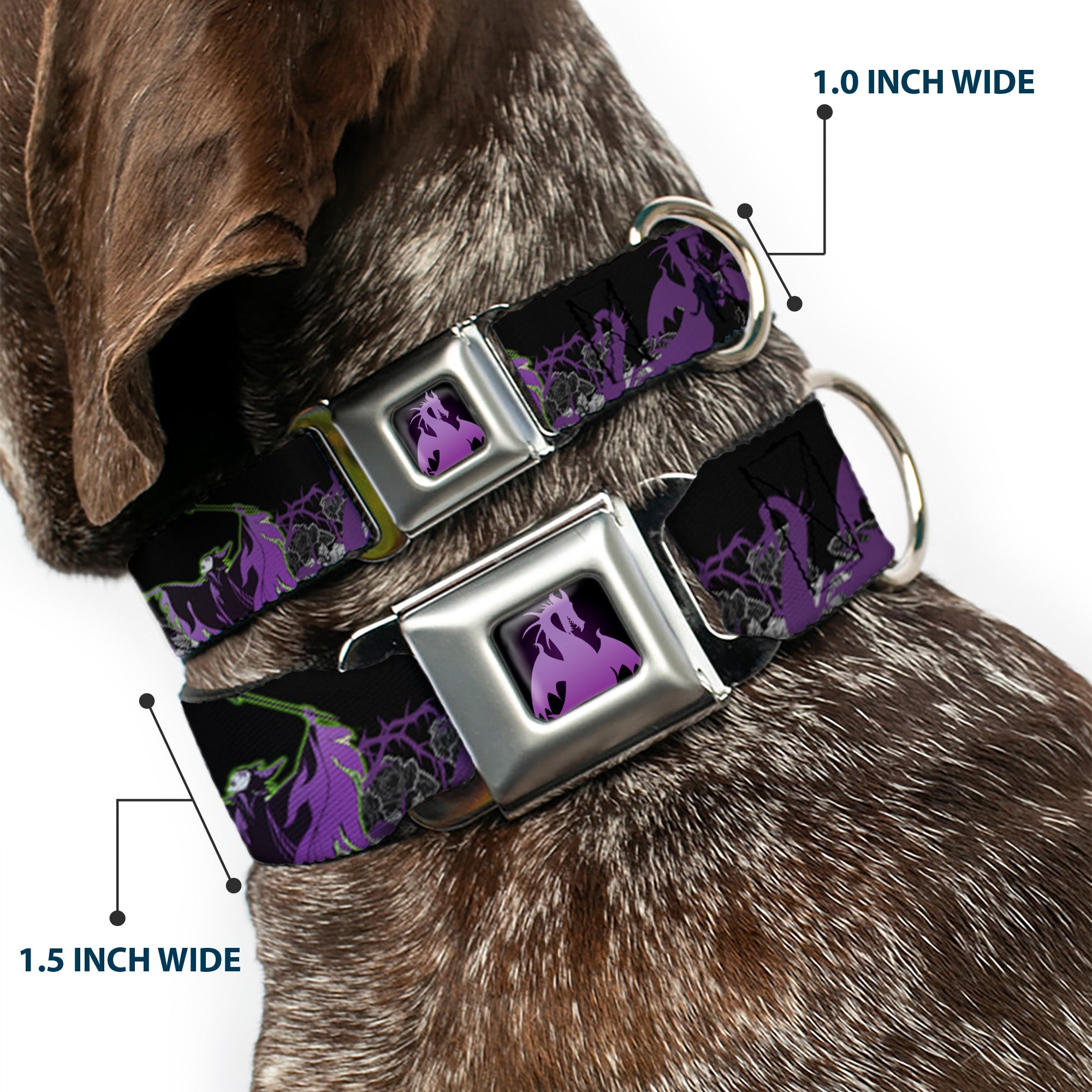 Dragon Maleficent Full Color Black Purple Seatbelt Buckle Collar - Maleficent & Diablo Black Roses/Purples