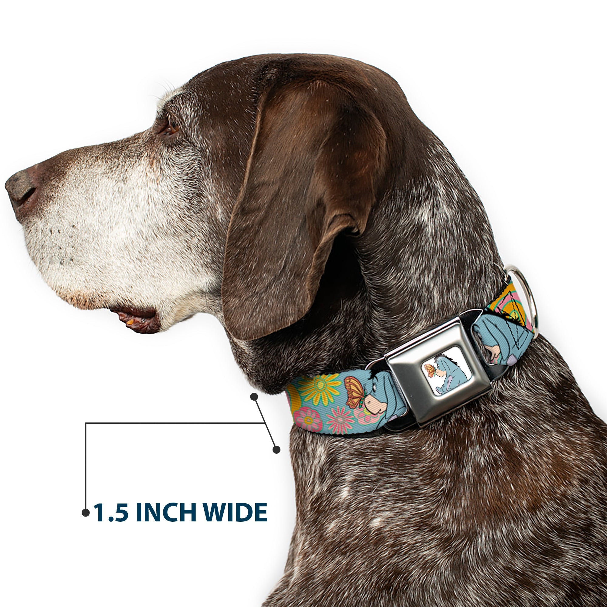 Winnie the Pooh Eeyore Butterfly Pose Full Color White Seatbelt Buckle Collar - Winnie the Pooh Eeyore Butterfly Pose Floral Collage Blue/Pinks/Yellows