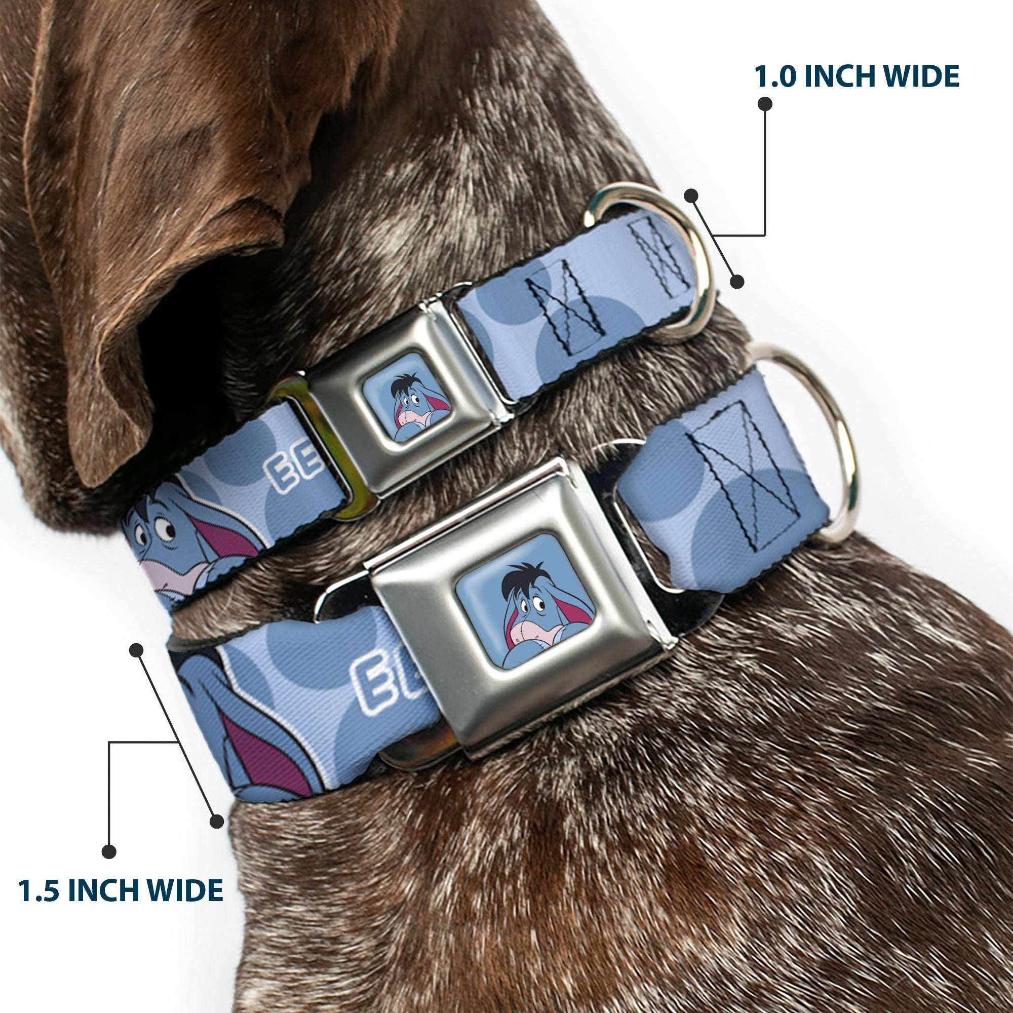 Winnie the Pooh Eeyore Expression Close-Up Blue Seatbelt Buckle Collar - Winnie the Pooh Eeyore Text and Expression Close-Up Dot Blues