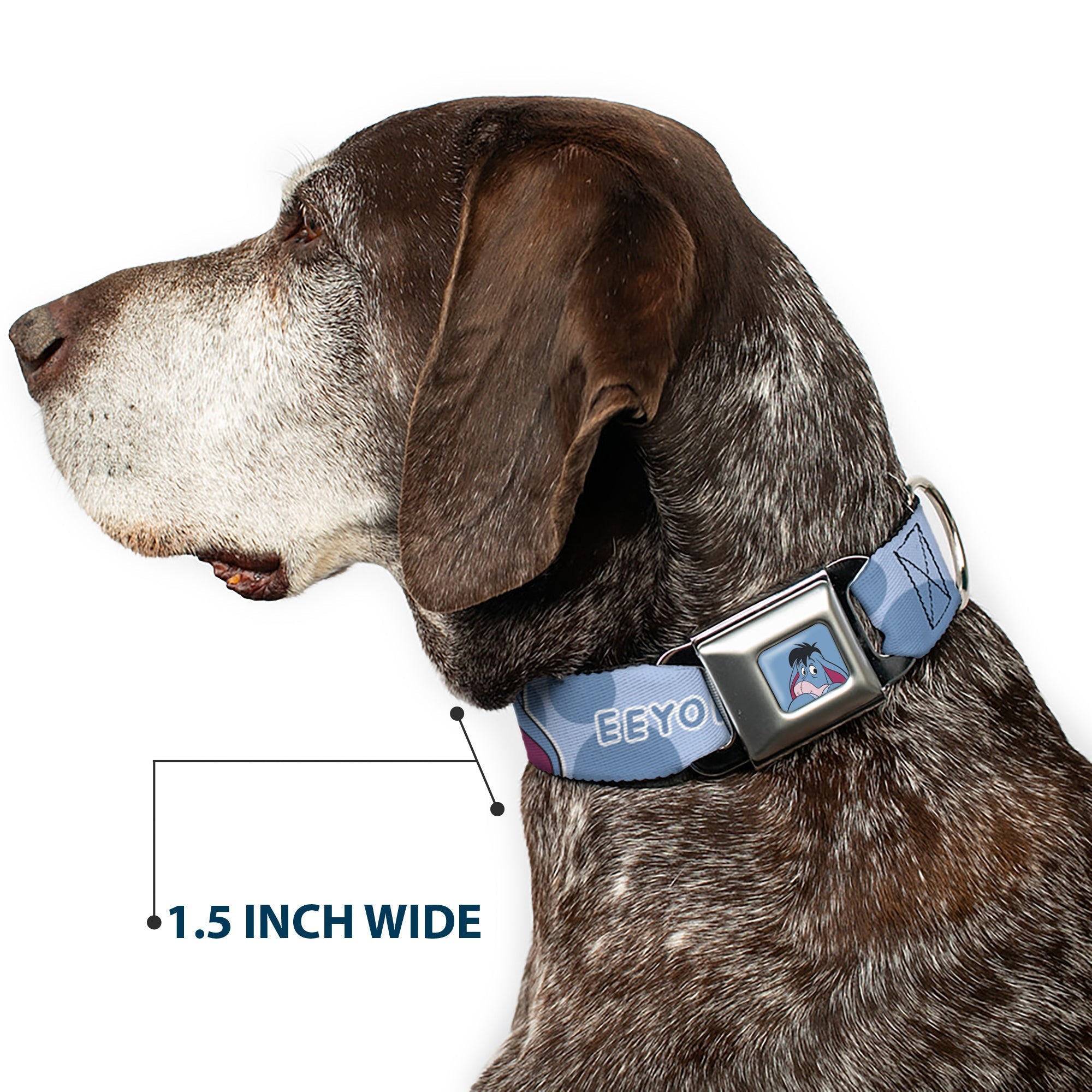 Winnie the Pooh Eeyore Expression Close-Up Blue Seatbelt Buckle Collar - Winnie the Pooh Eeyore Text and Expression Close-Up Dot Blues
