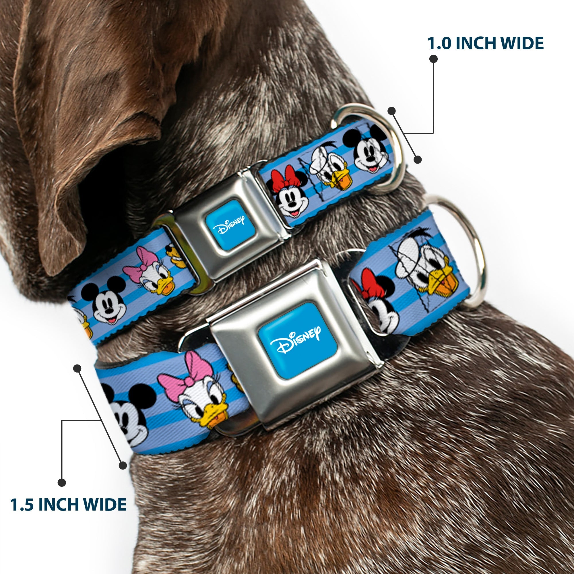 DISNEY Signature Full Color Blue/White Seatbelt Buckle Collar - Disney The Sensational Six Smiling Faces Stripe Blues