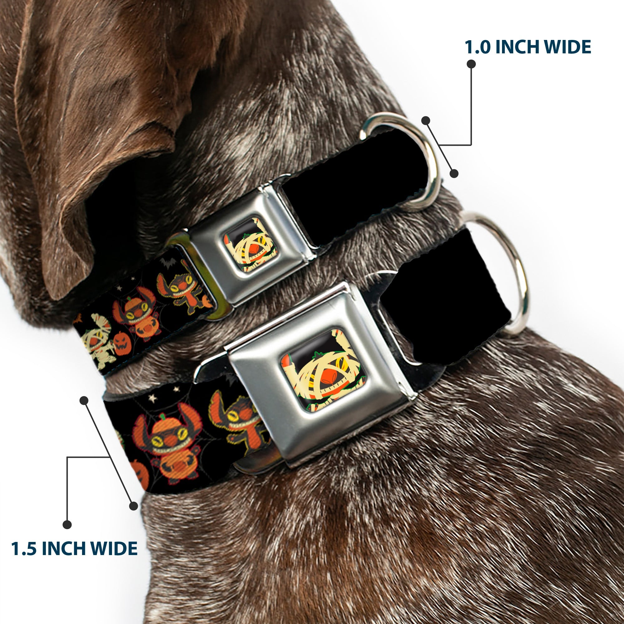 Lilo and Stitch Holiday Halloween Stitch Mummy Face Full Color Black Seatbelt Buckle Collar - Lilo and Stitch Halloween Stitch Dress Up Poses Black