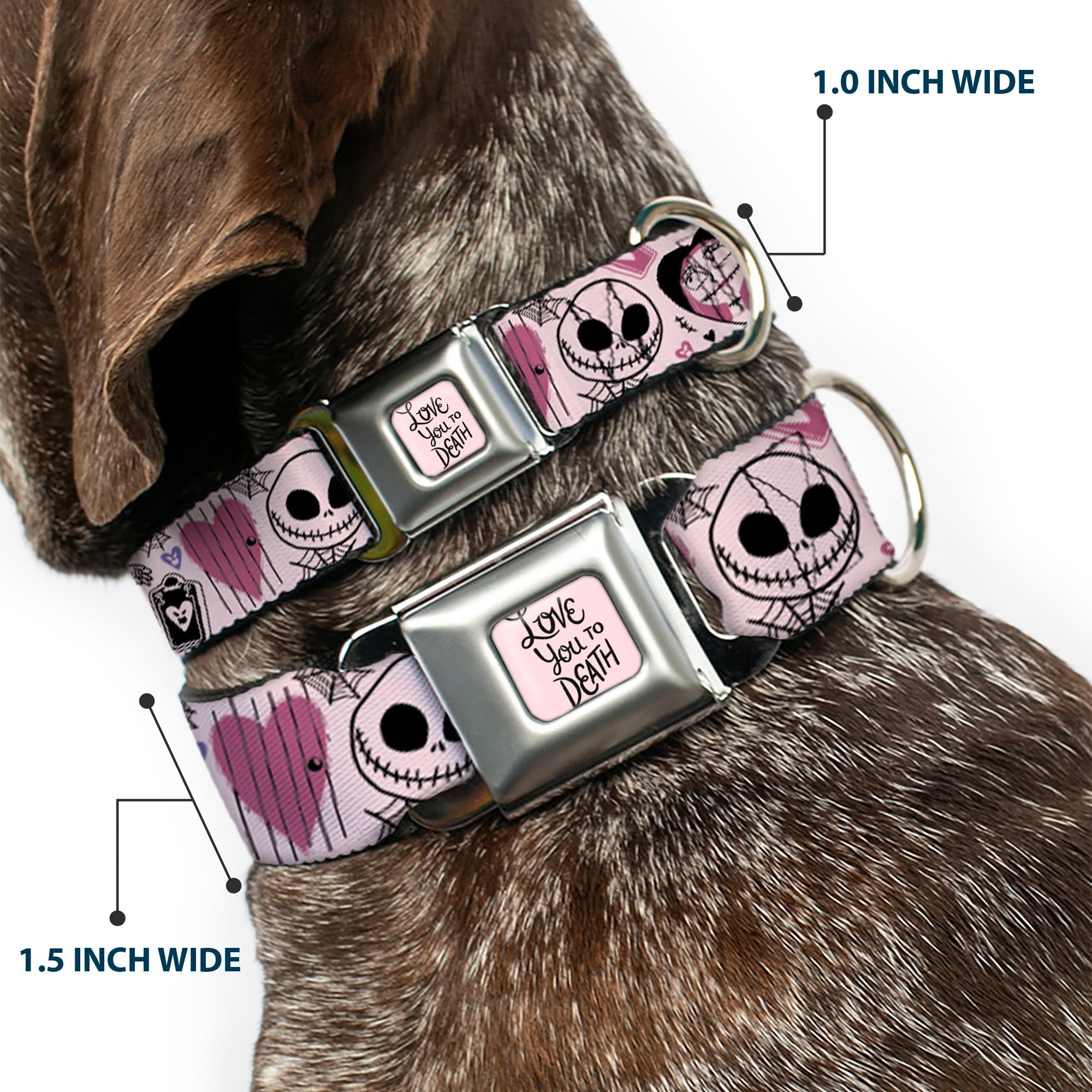 The Nightmare Before Christmas LOVE YOU TO DEATH Full Color Pink/Black Seatbelt Buckle Collar - The Nightmare Before Christmas Jack and Sally Doodles Pinks/Black