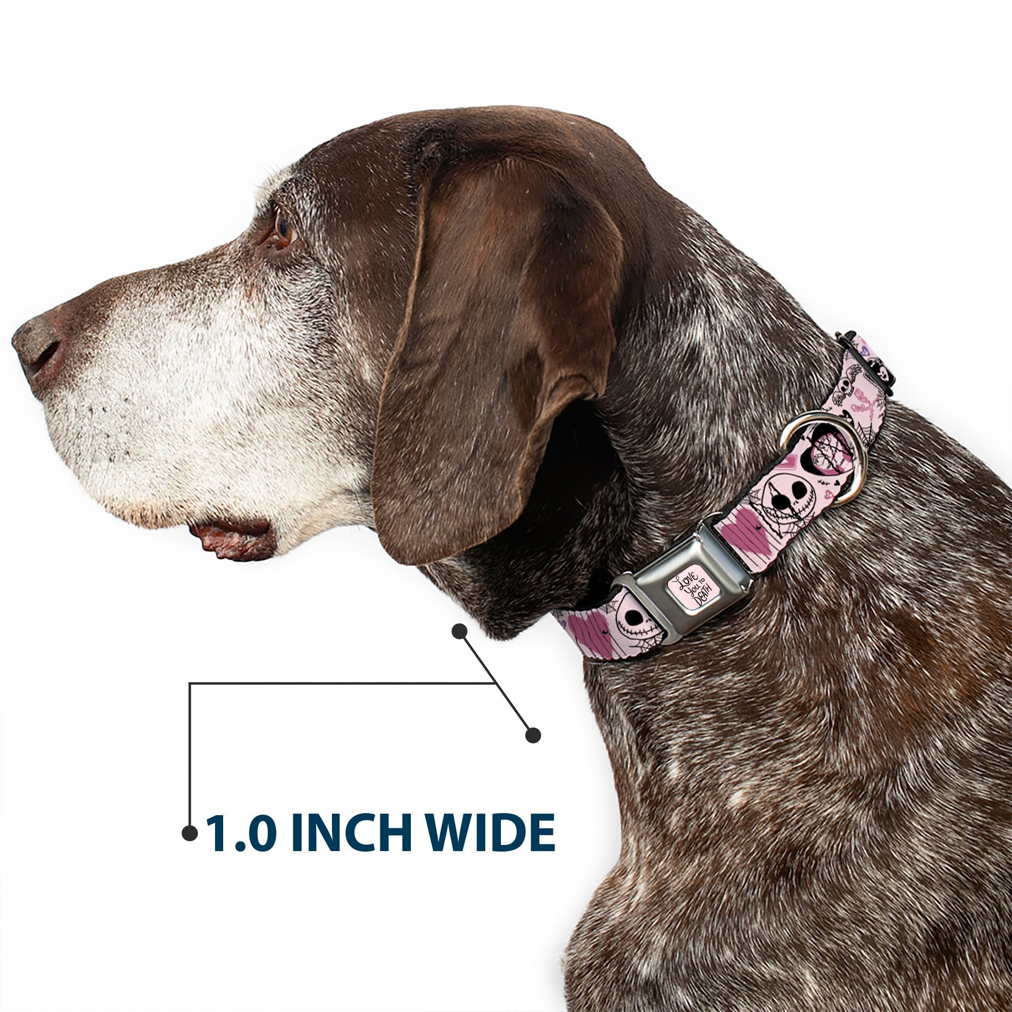 The Nightmare Before Christmas LOVE YOU TO DEATH Full Color Pink/Black Seatbelt Buckle Collar - The Nightmare Before Christmas Jack and Sally Doodles Pinks/Black