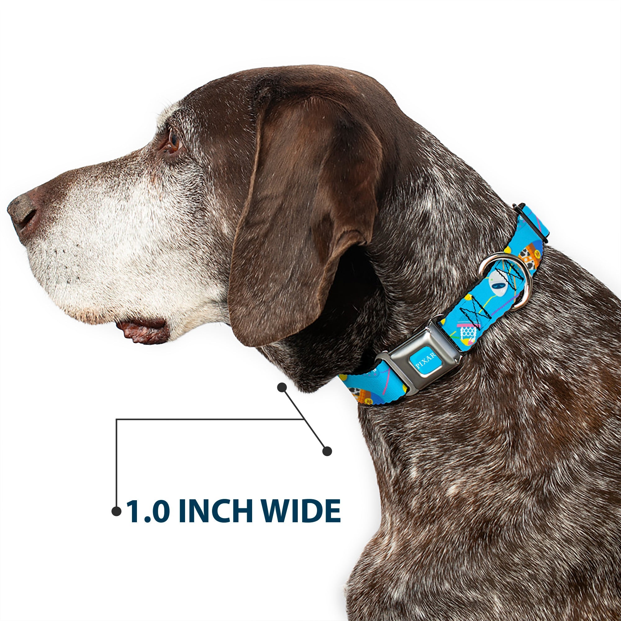 PIXAR Title Logo Full Color Blue/White Seatbelt Buckle Collar - Pixar Holiday Collection Easter Egg Characters Scattered Blue