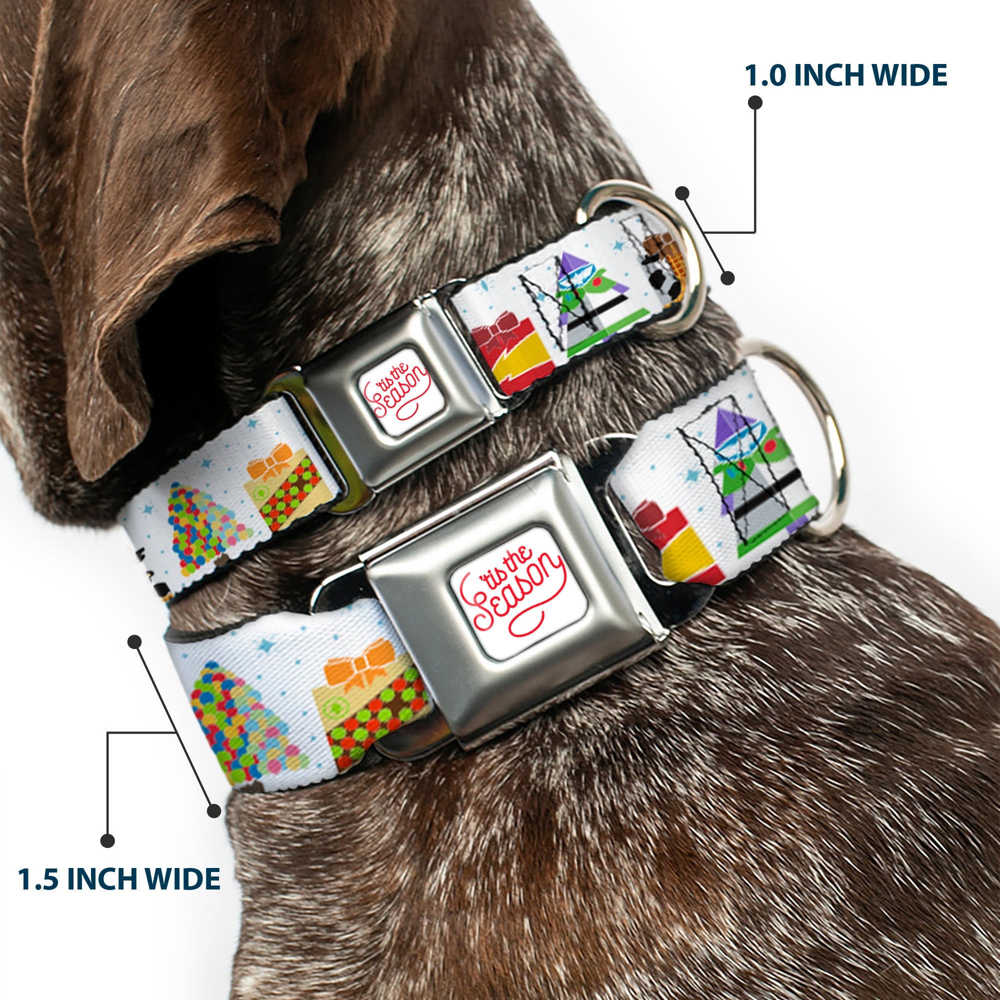 Pixar TIS THE SEASON Script Full Color White/Red Seatbelt Buckle Collar - Pixar Holiday Collection Character Gifts Lineup/Stars White/Blues