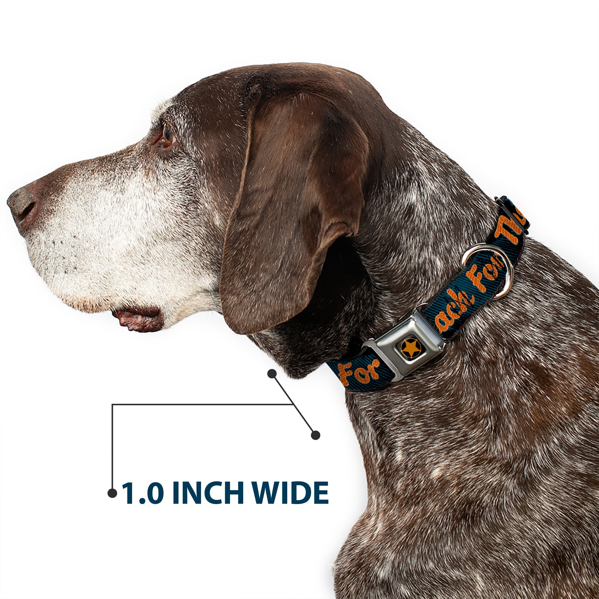 Woody Sherriff Star Reverse Brushed Seatbelt Buckle Collar - Woody REACH FOR THE SKY Denim Blue Print
