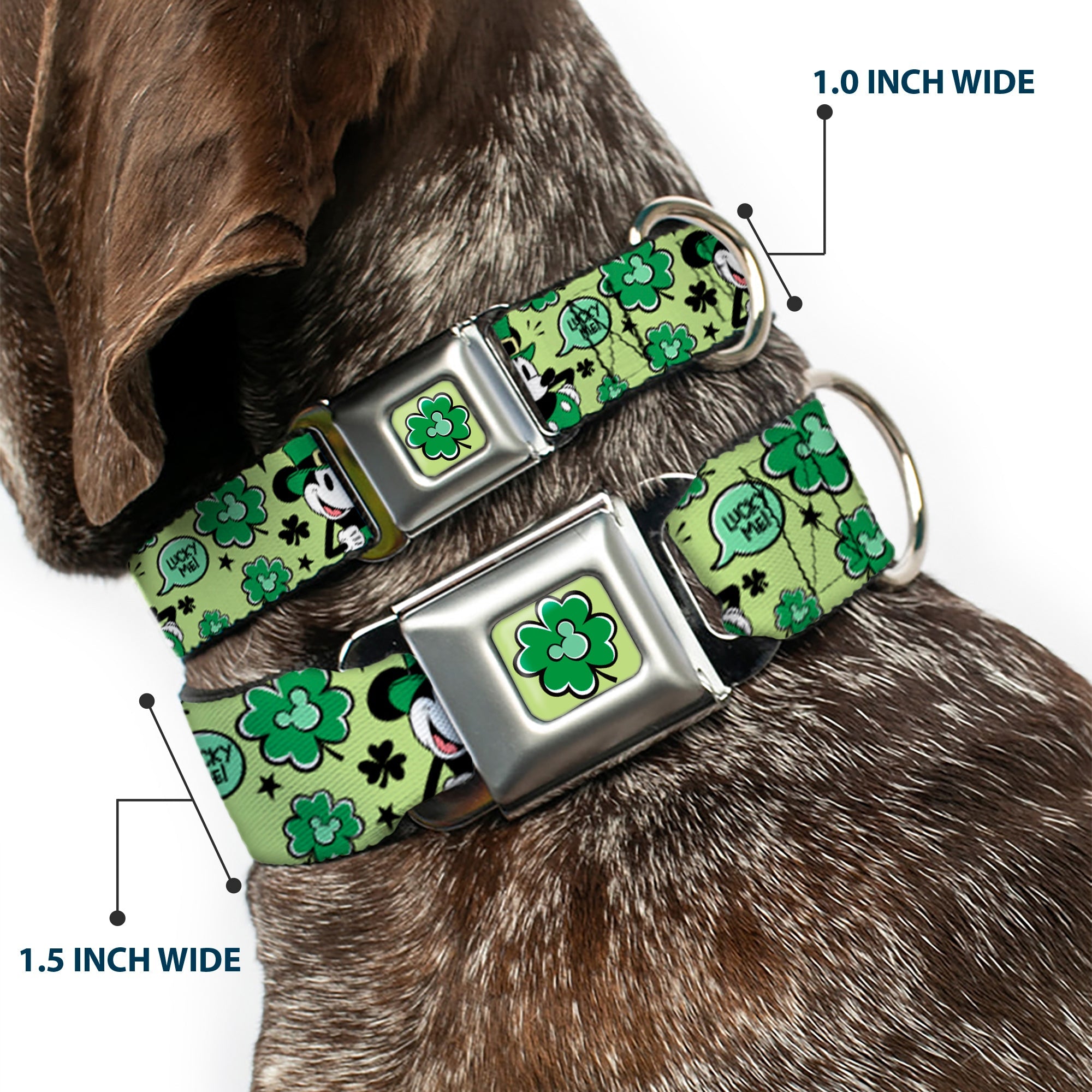 Mickey Mouse St. Patricks Day Shamrock Full Color Greens Seatbelt Buckle Collar - Mickey Mouse St. Patricks Day LUCKY ME Leprechaun Pose and Shamrocks Greens