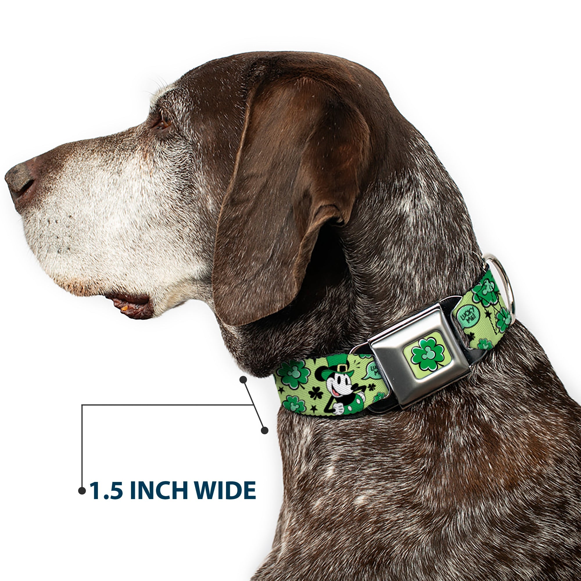 Mickey Mouse St. Patricks Day Shamrock Full Color Greens Seatbelt Buckle Collar - Mickey Mouse St. Patricks Day LUCKY ME Leprechaun Pose and Shamrocks Greens