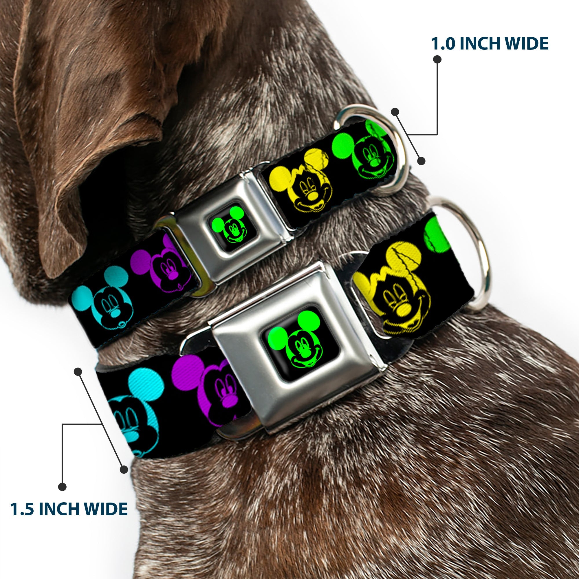 Mickey Mouse Expression2 Full Color Black Neon Green Seatbelt Buckle Collar - Mickey Expressions Black/Multi Neon