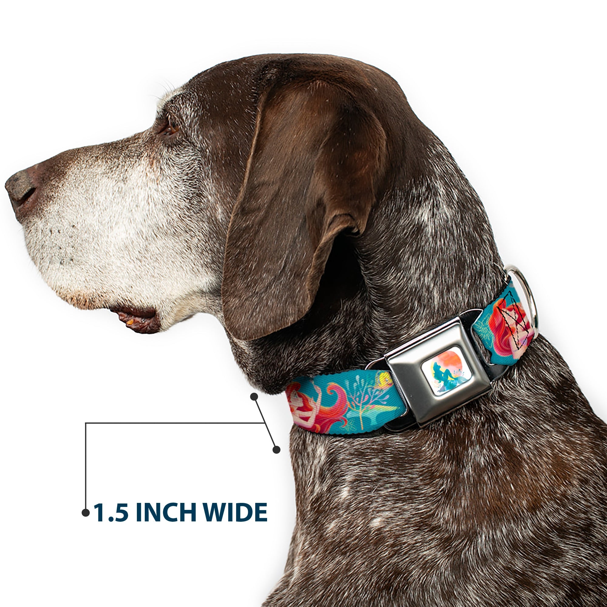 The Little Mermaid Ariel Silhouette Pose Full Color White/Multi Color Seatbelt Buckle Collar - The Little Mermaid Flounder and Sebastian Under the Sea Greens