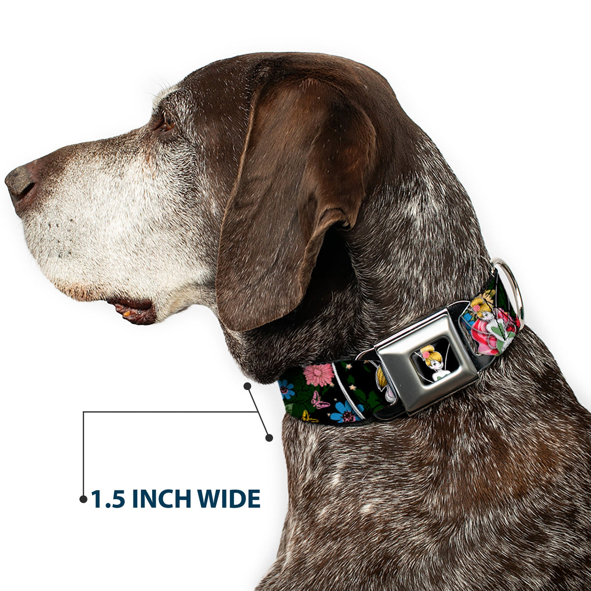 Tinker Bell Sketch Full Color Seatbelt Buckle Collar - Tinker Bell Poses/Sleeping Floral Collage