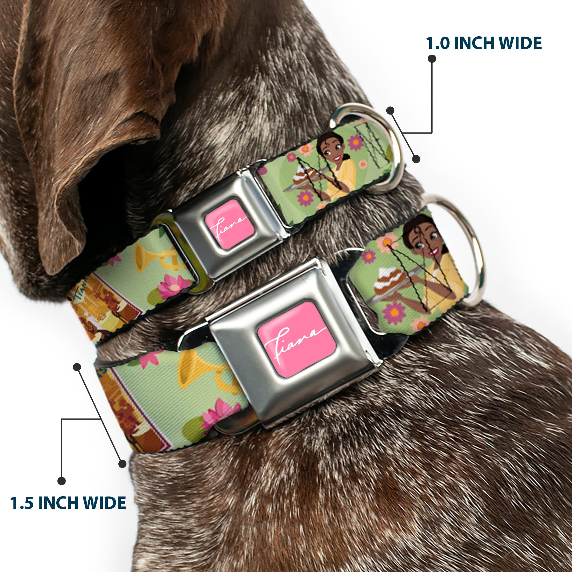 The Princess and the Frog TIANA Script Full Color Pink/White Seatbelt Buckle Collar - The Princess and the Frog Tianas Place Collage Greens/Pinks