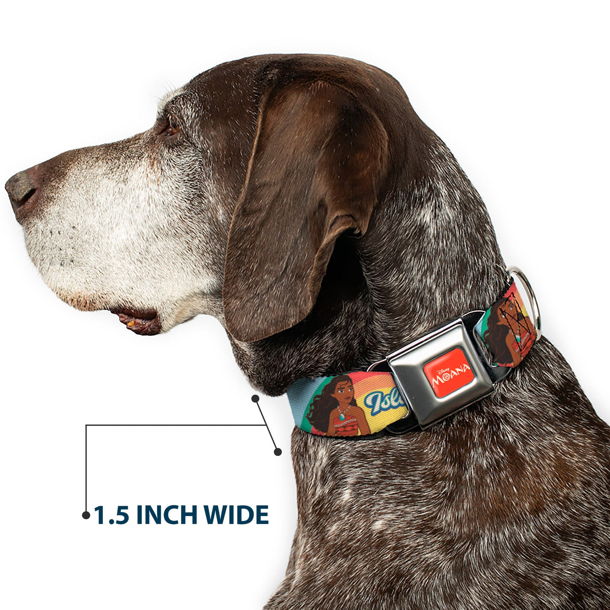 MOANA Title Logo Full Color Orange/White Seatbelt Buckle Collar - Moana ISLAND GIRL Rainbow Pose Blue/Multi Color