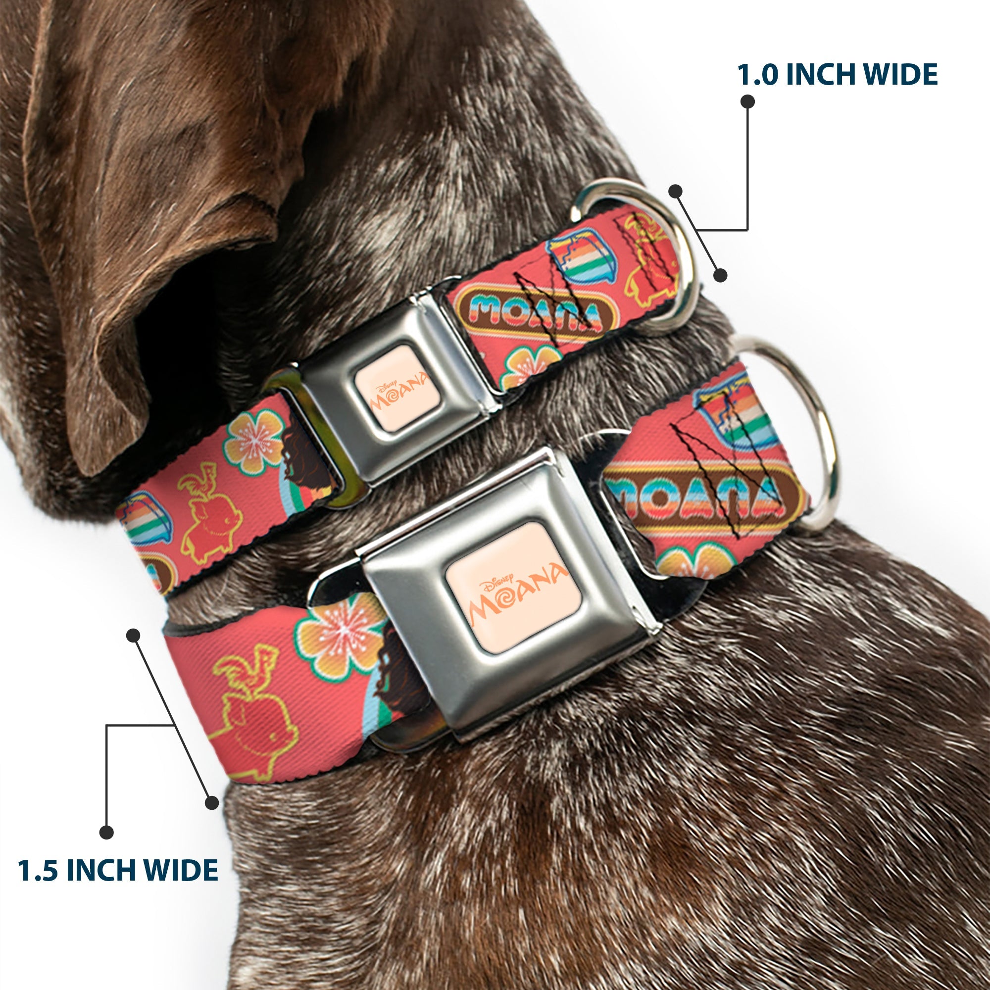 MOANA Title Logo Full Color Beige/Coral Seatbelt Buckle Collar - Moana Pose and Icons Collage Pink