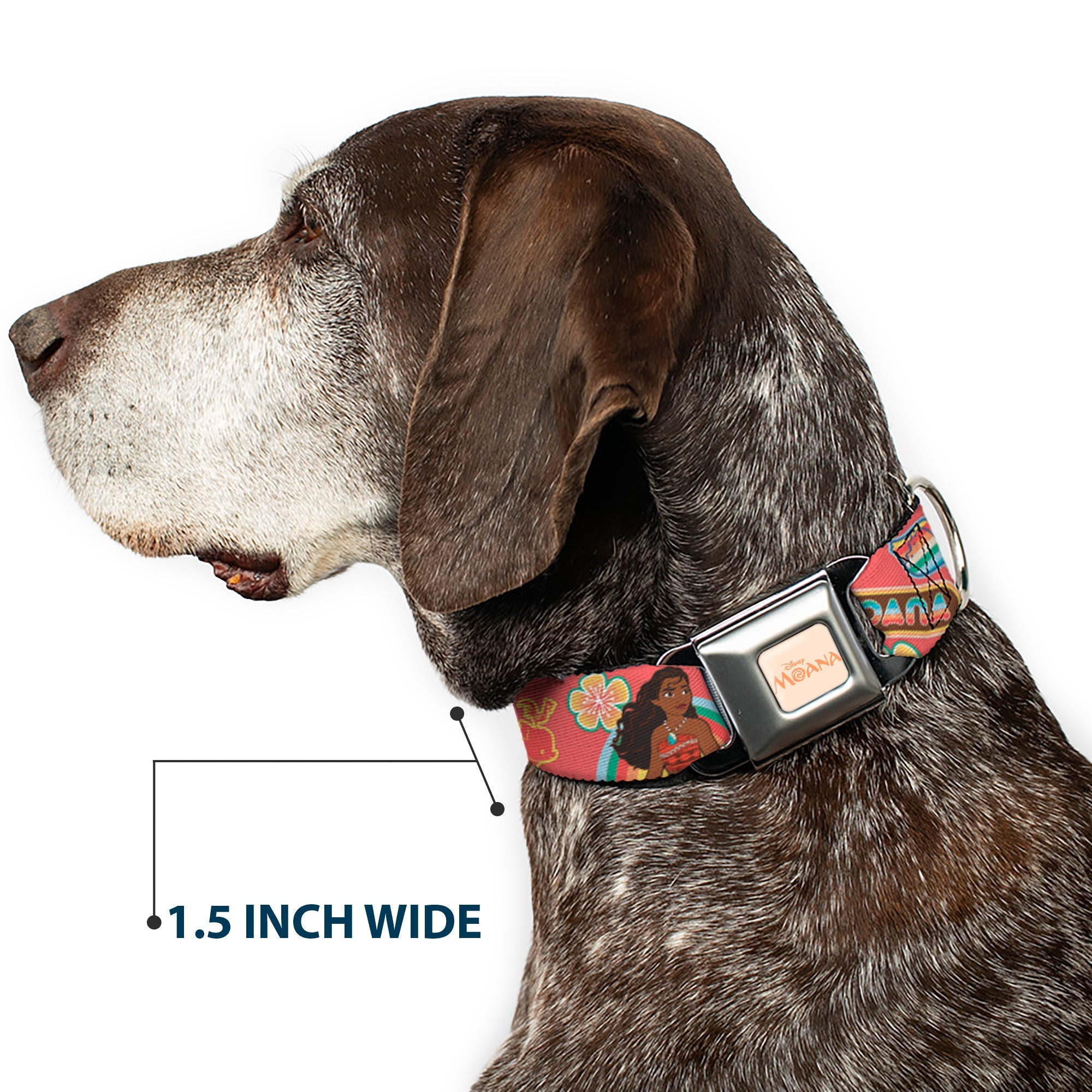MOANA Title Logo Full Color Beige/Coral Seatbelt Buckle Collar - Moana Pose and Icons Collage Pink