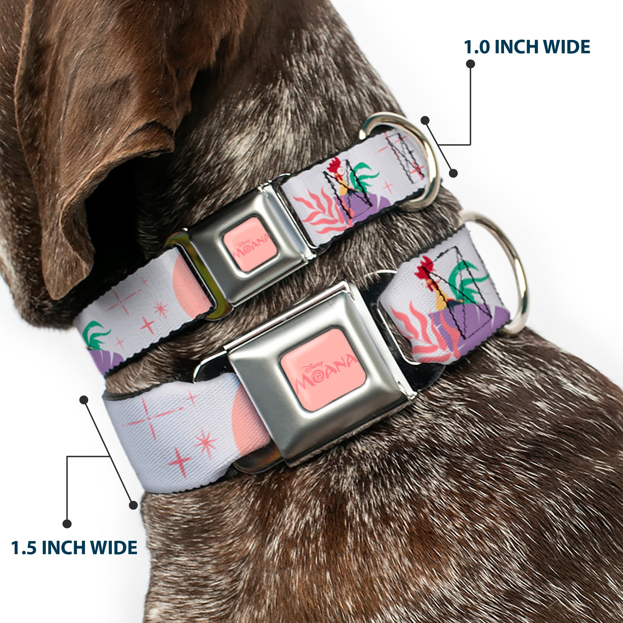 MOANA Title Logo Full Color Pinks Seatbelt Buckle Collar - Moana and Hei Hei Poses with Flowers Beige/Orange