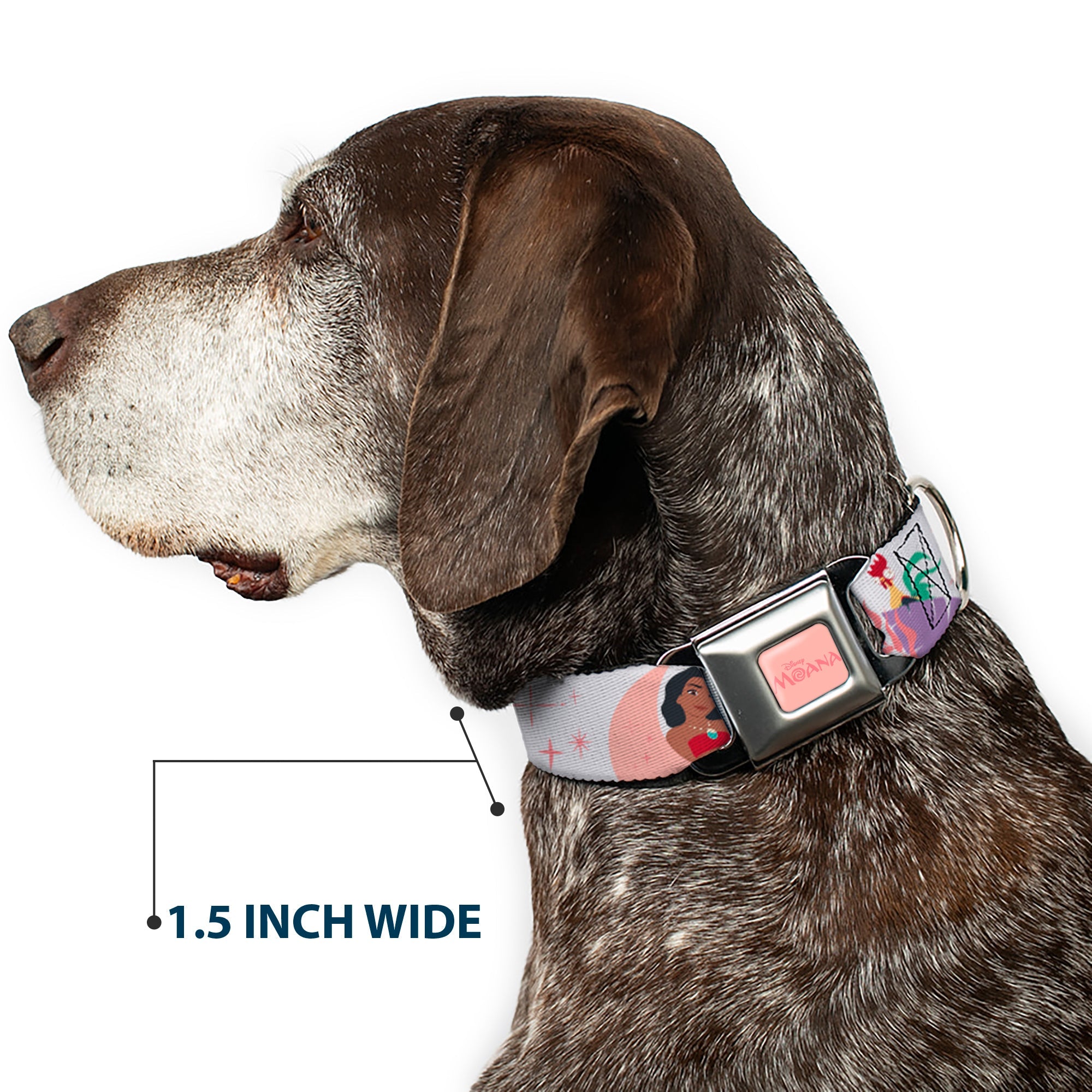 MOANA Title Logo Full Color Pinks Seatbelt Buckle Collar - Moana and Hei Hei Poses with Flowers Beige/Orange