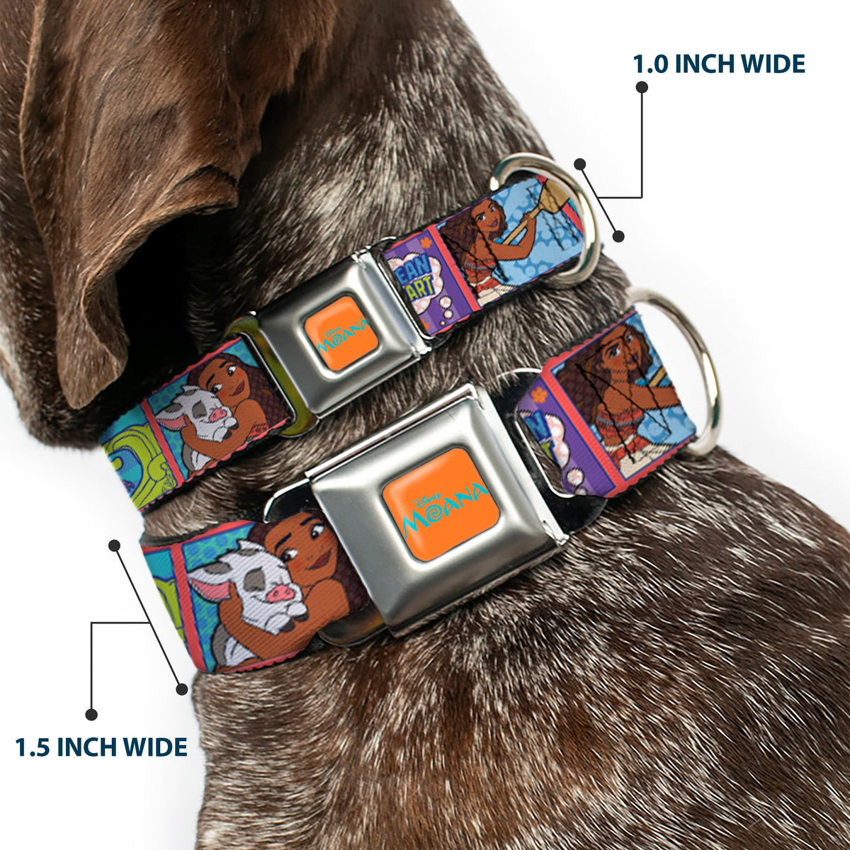 MOANA Title Logo Full Color Orange/Blue Seatbelt Buckle Collar - Moana MAKE WAVES Scene Blocks Blues/Orange