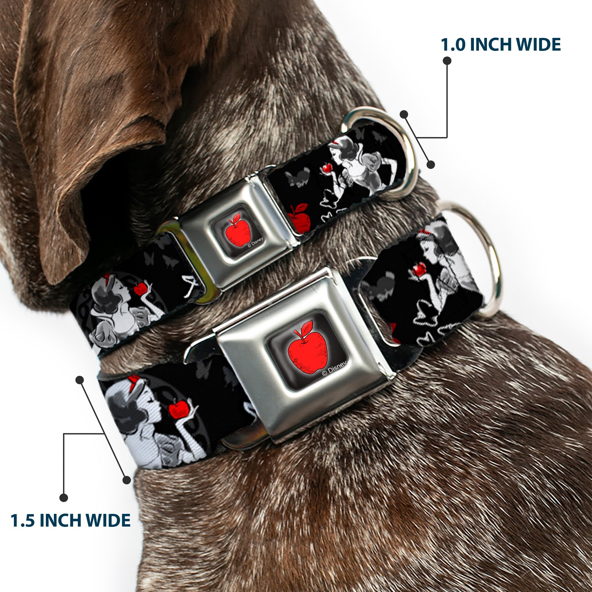 Apple Glow Full Color Black Red Seatbelt Buckle Collar - SNOW WHITE Apple Poses/Butterflies Black/Gray/Red