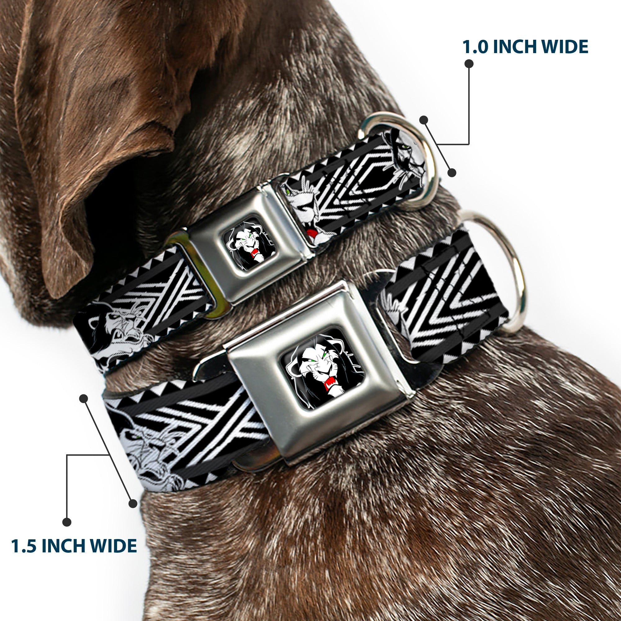 Simba Face Full Color Black/White/Red Seatbelt Buckle Collar - Lion King Scar Poses White/Black