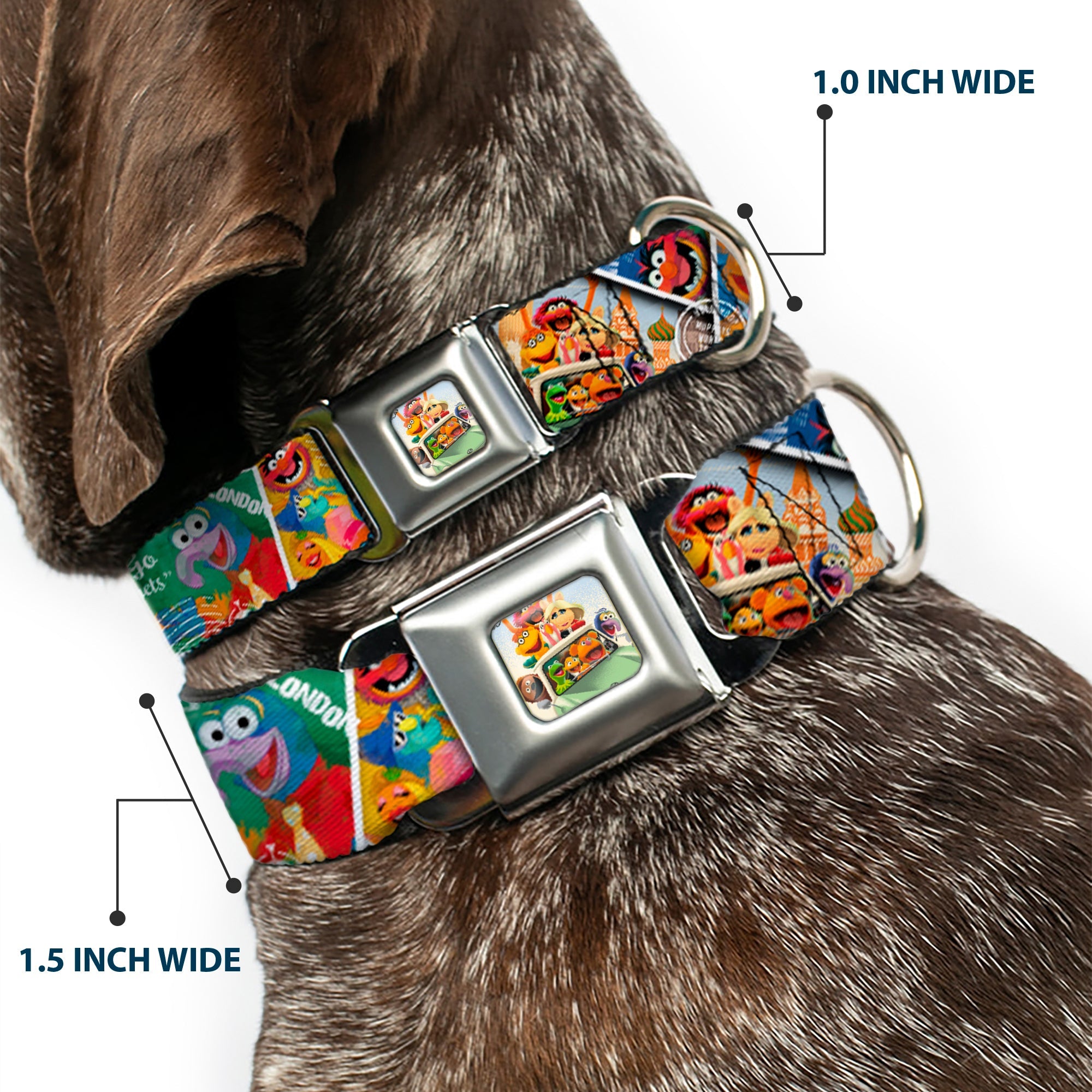 Muppets in Car Full Color Seatbelt Buckle Collar - Muppets Postage Stamps Stacked