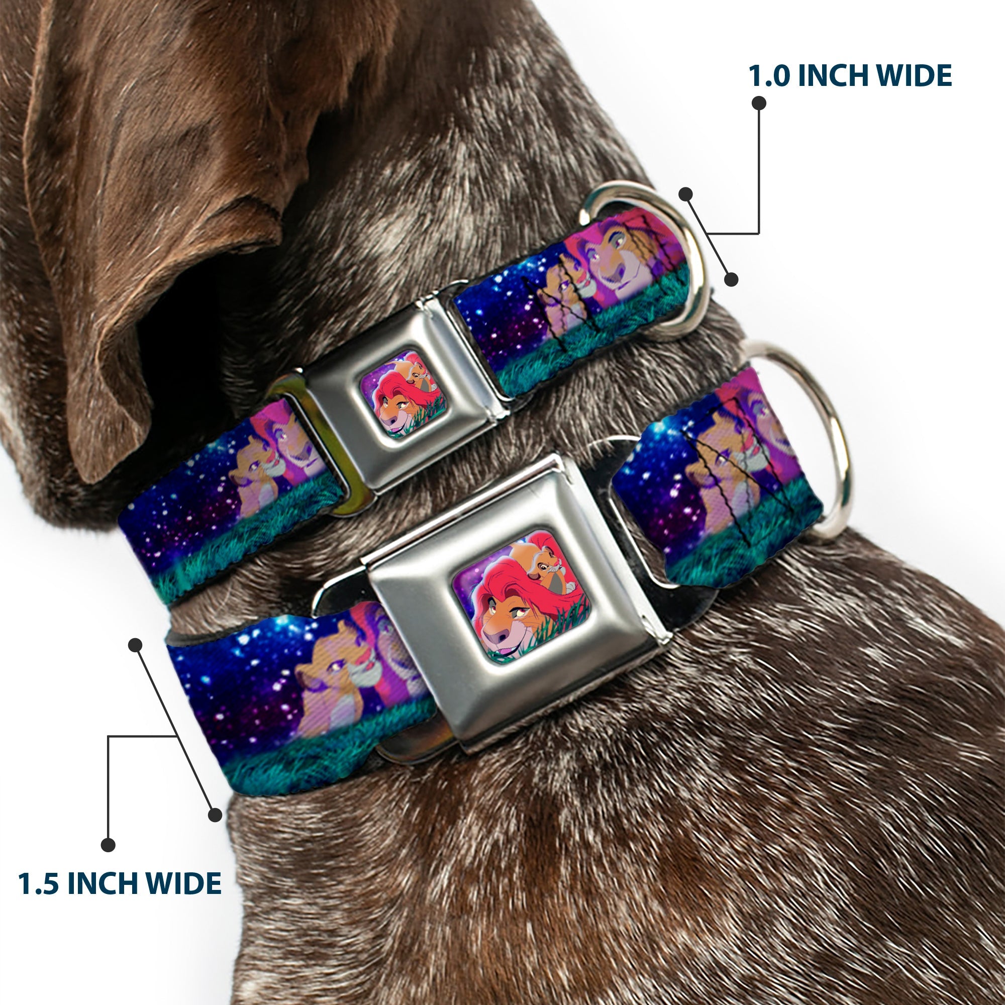 Mufasa & Simba Full Color Seatbelt Buckle Collar - Mufasa & Simba Night Poses
