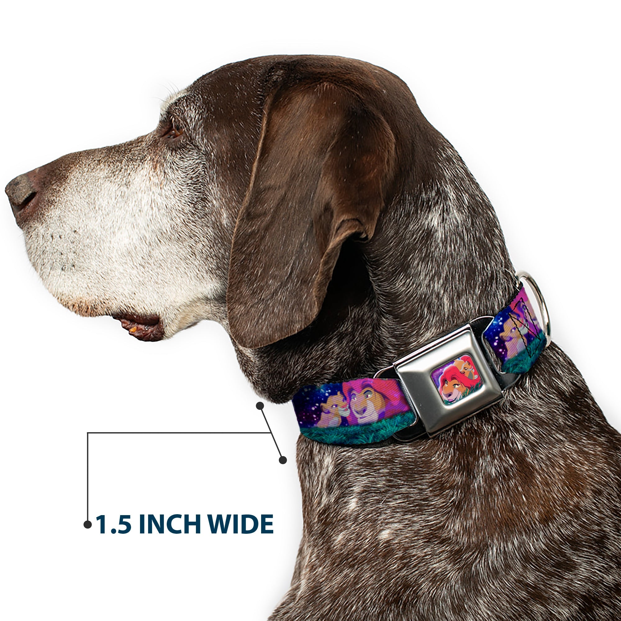Mufasa & Simba Full Color Seatbelt Buckle Collar - Mufasa & Simba Night Poses