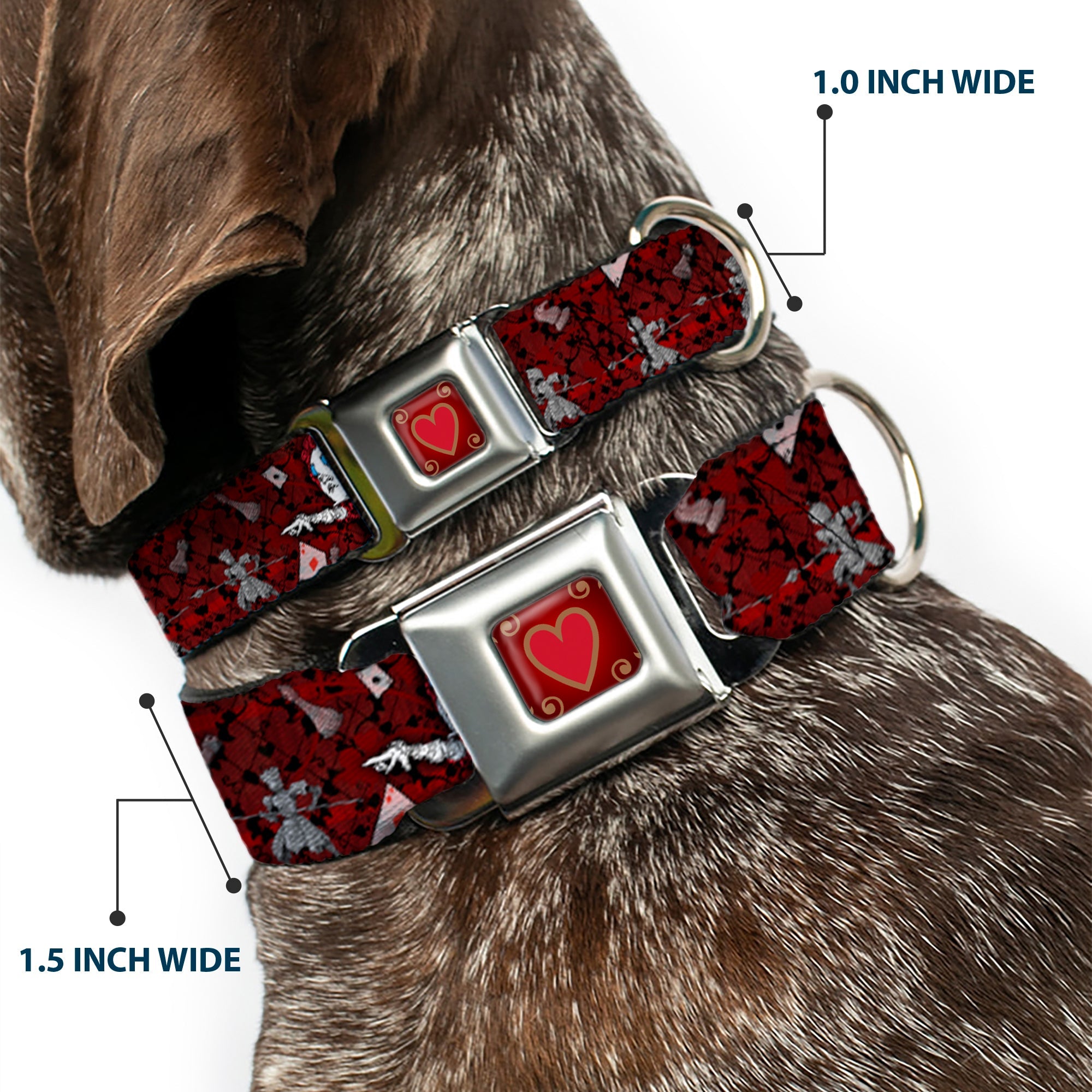 Queens Heart Full Color Reds Gold Seatbelt Buckle Collar - Queen of Hearts Poses/Hearts/Cards Reds/Black
