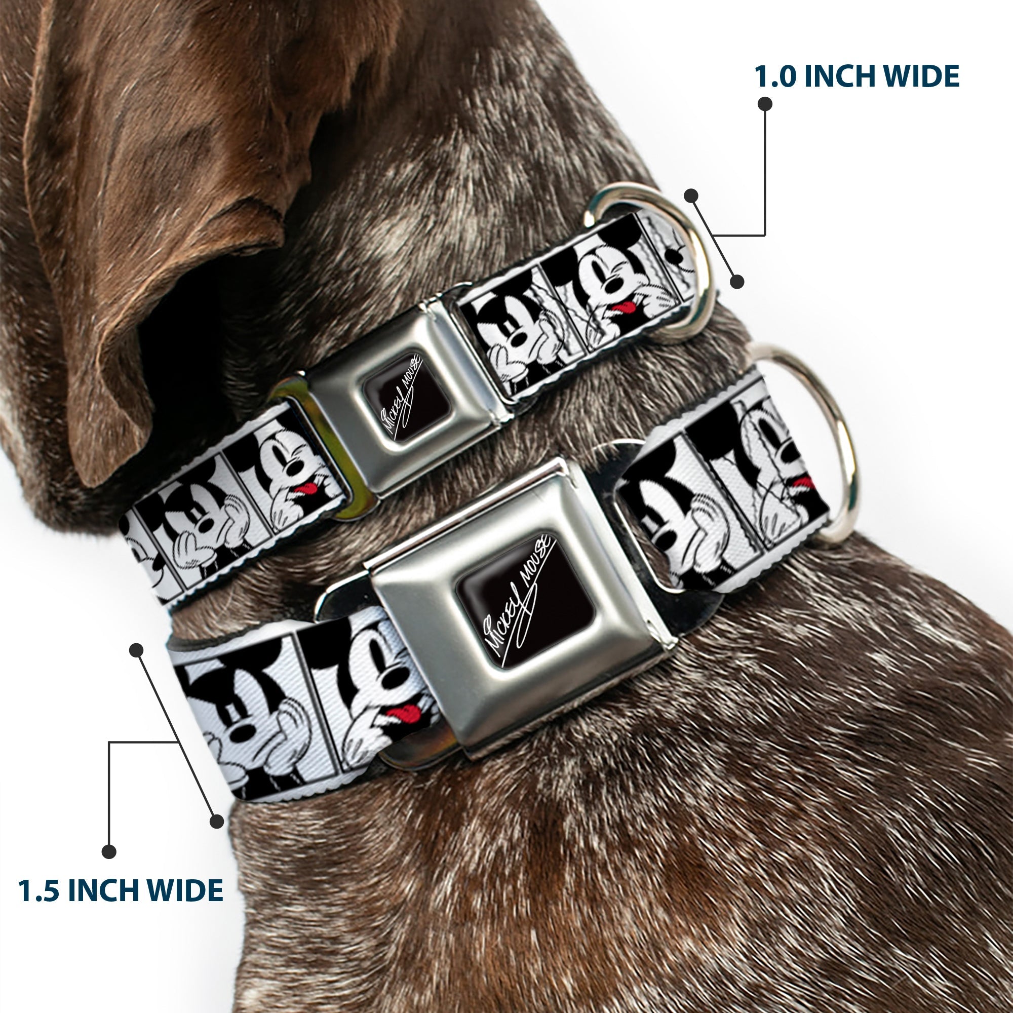MICKEY MOUSE Autograph Full Color Black/White Seatbelt Buckle Collar - Mickey Mouse Expression Blocks White/Black/Red