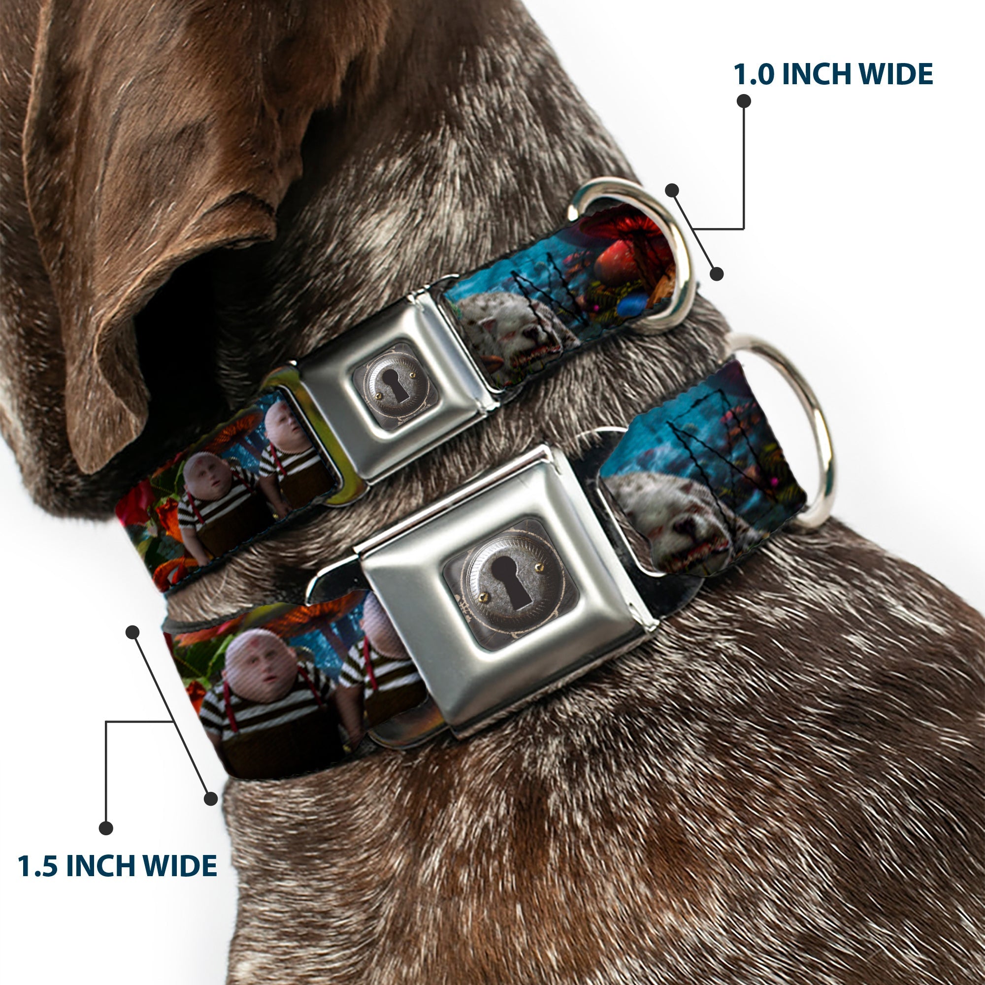 Alice Keyhole Full Color Grays Seatbelt Buckle Collar - Alice in Wonderland Movie Encounters
