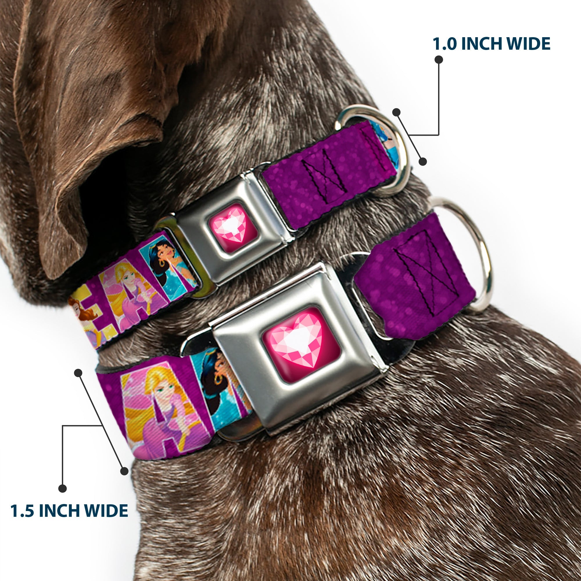 Princess Gem Heart Full Color Black/Pink Seatbelt Buckle Collar - Disney DREAMER 7-Sparkling Princesses/Tiara Purple/White