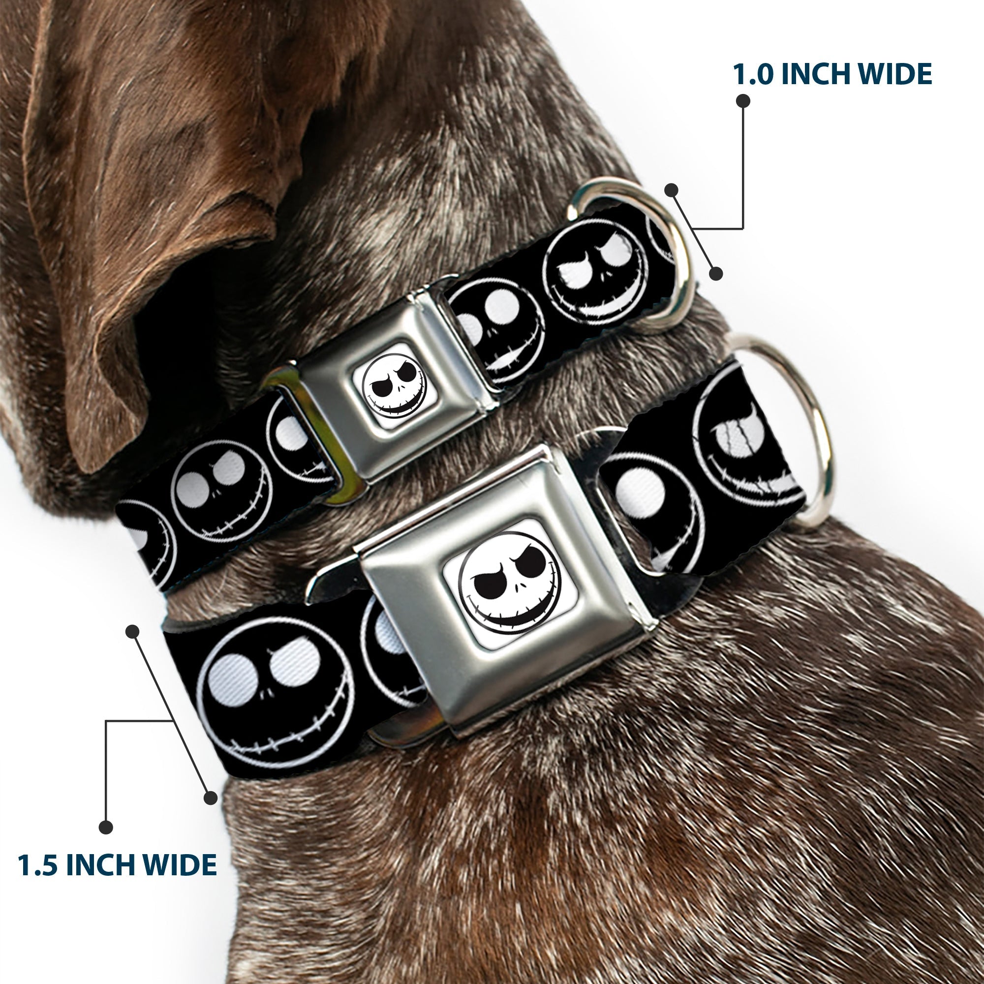 The Nightmare Before Christmas Jack Smiling Full Color White/Black Seatbelt Buckle Collar - The Nightmare Before Christmas Jack 5-Expressions Black/White