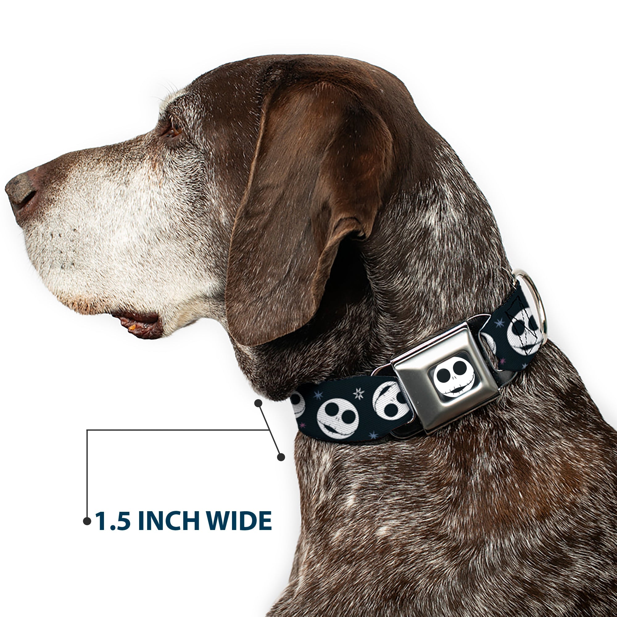 The Nightmare Before Christmas Jack Smiling Full Color Black/White Seatbelt Buckle Collar - The Nightmare Before Christmas Smiling Jack Moon and Stars Black