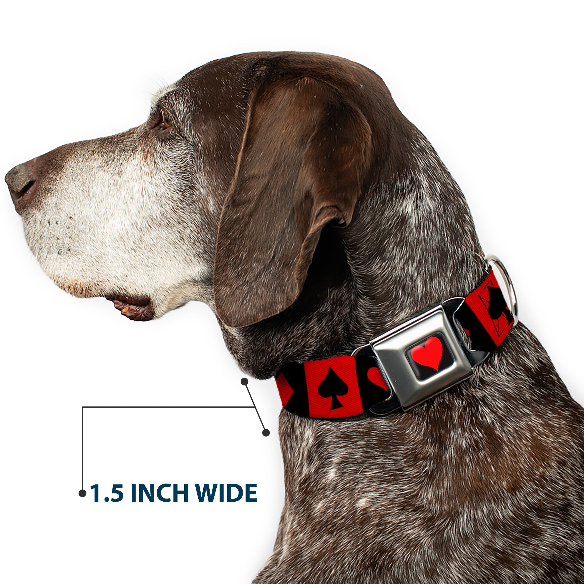 Alice in Wonderland Heart Full Color Black/Red Seatbelt Buckle Collar - Alice in Wonderland Card Suits Red/Black
